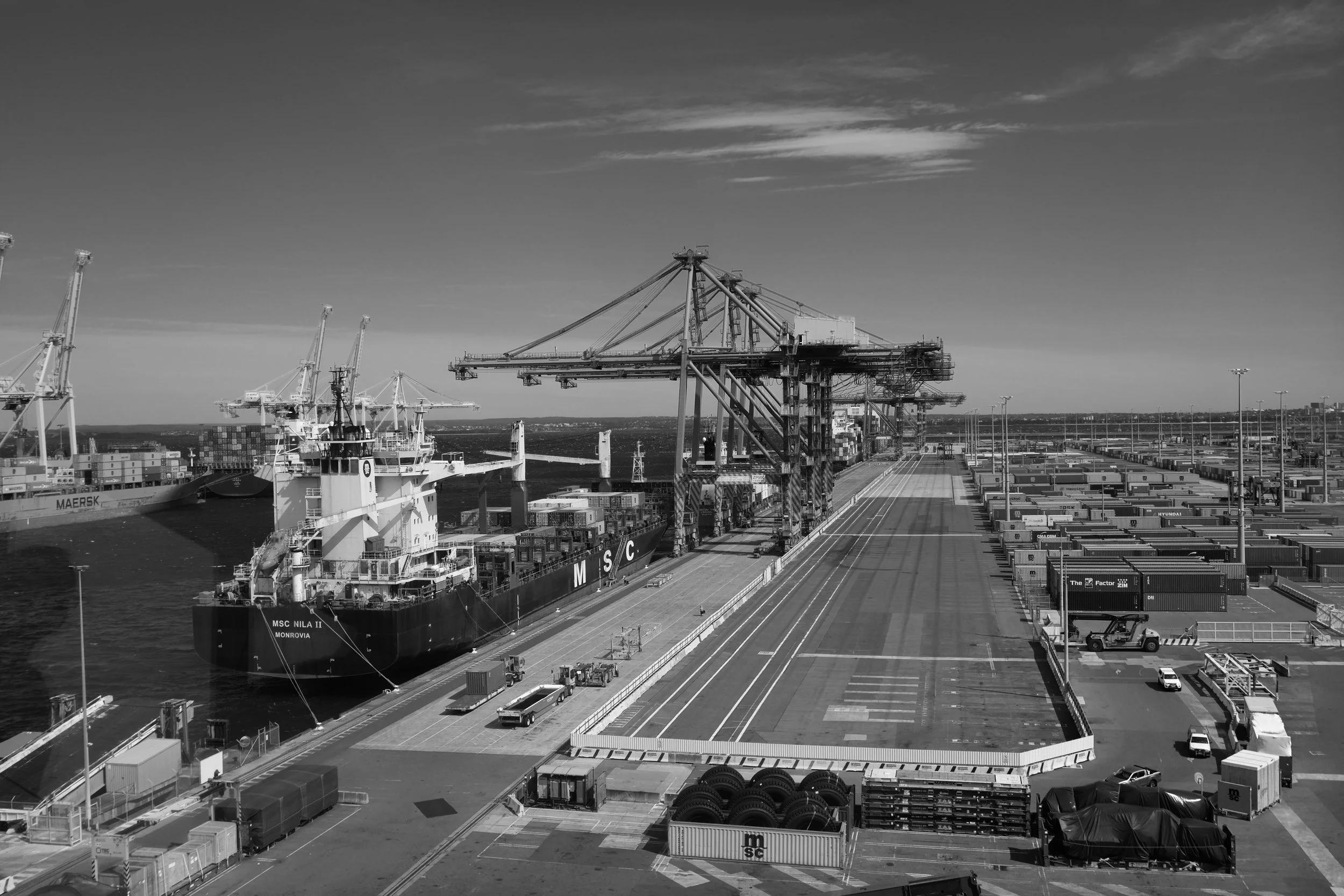 Black and white photo of a busy dock with cargo ships, large cranes, containers, and trucks. Sydney wharf ship terminal.