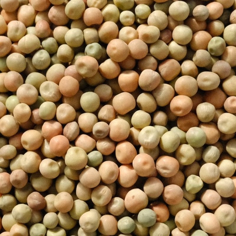 Close up of a large quantity of dried green kaspa oura peas