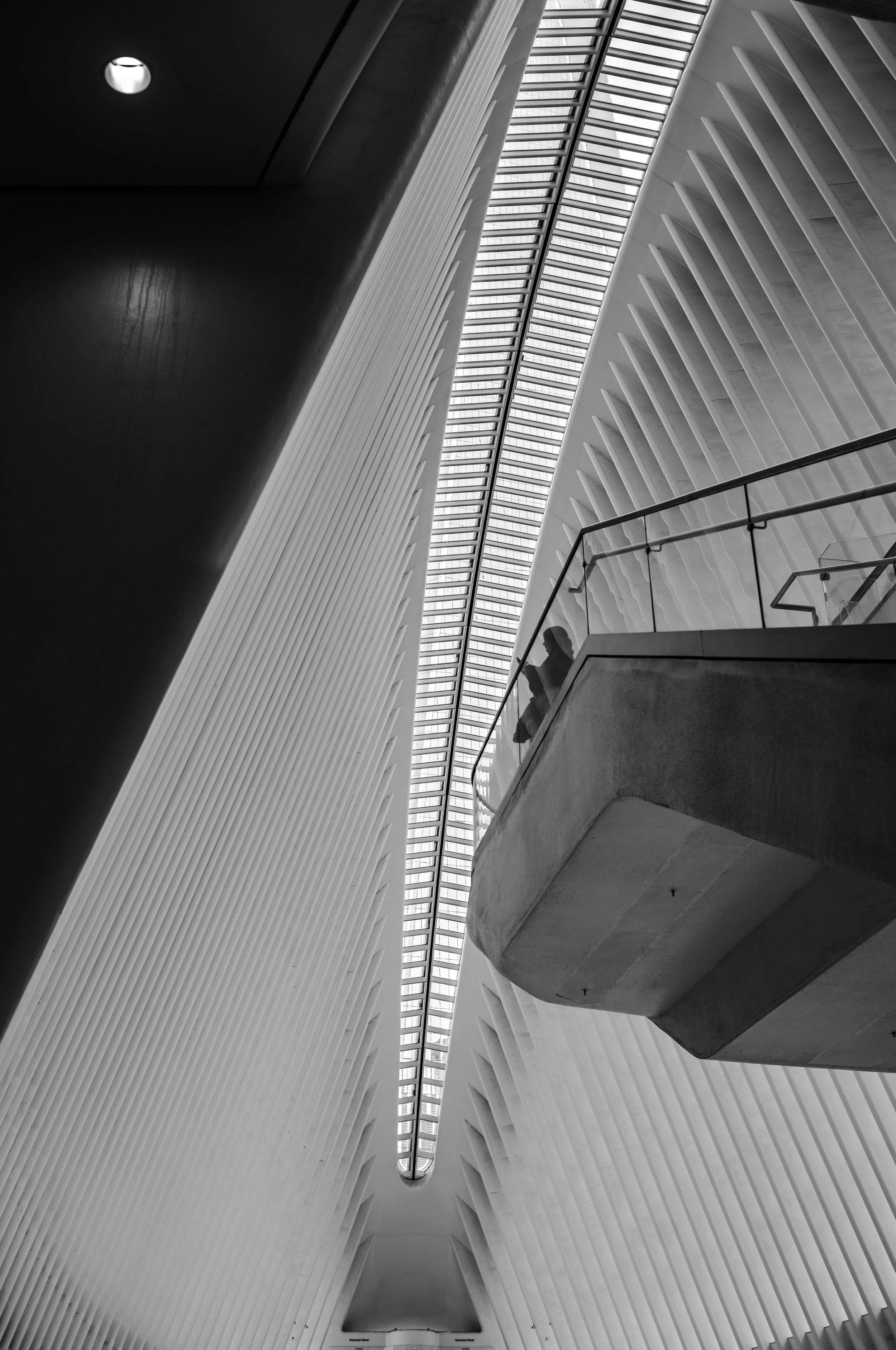 Oculus 