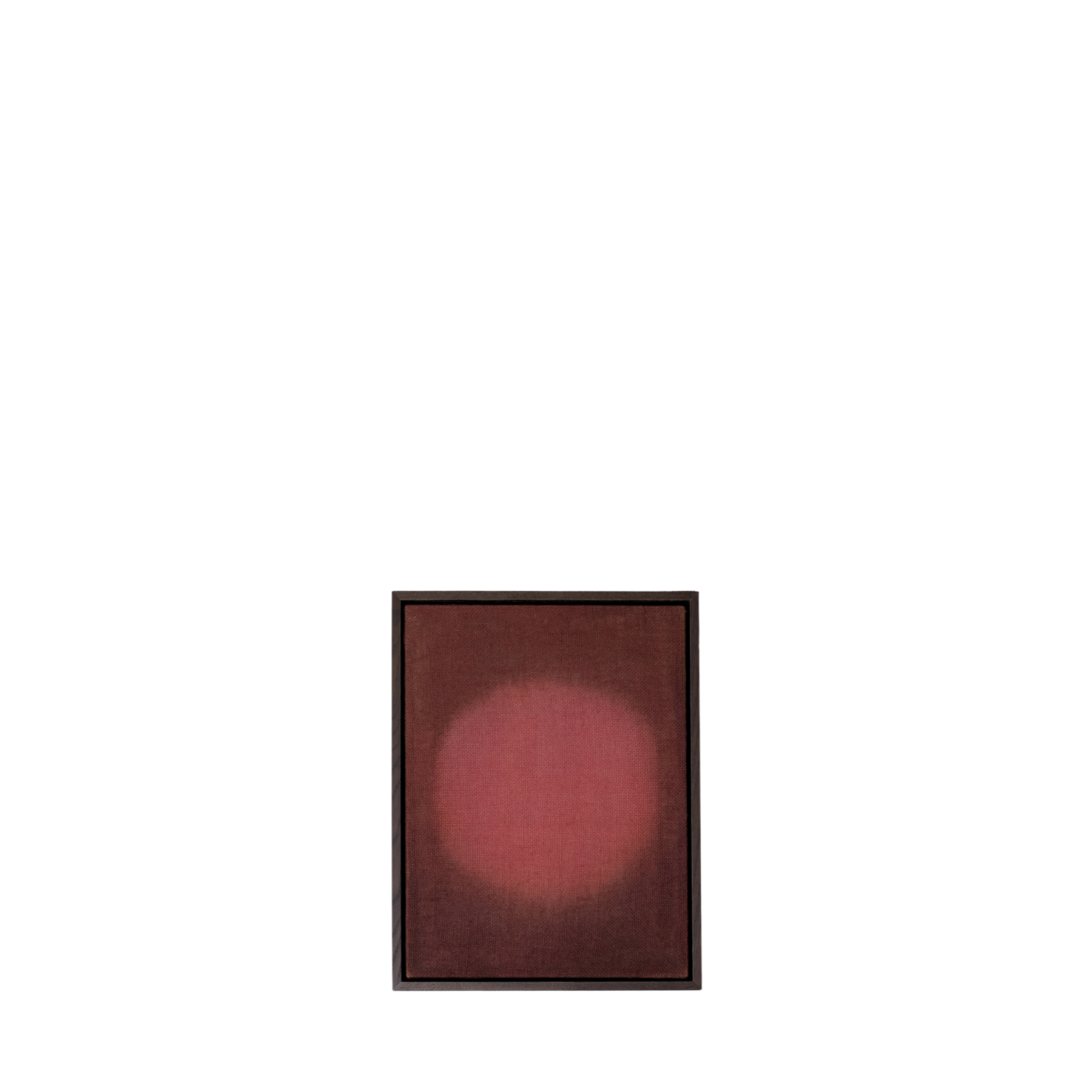 TRACE Catalogue Template WEB.001.png