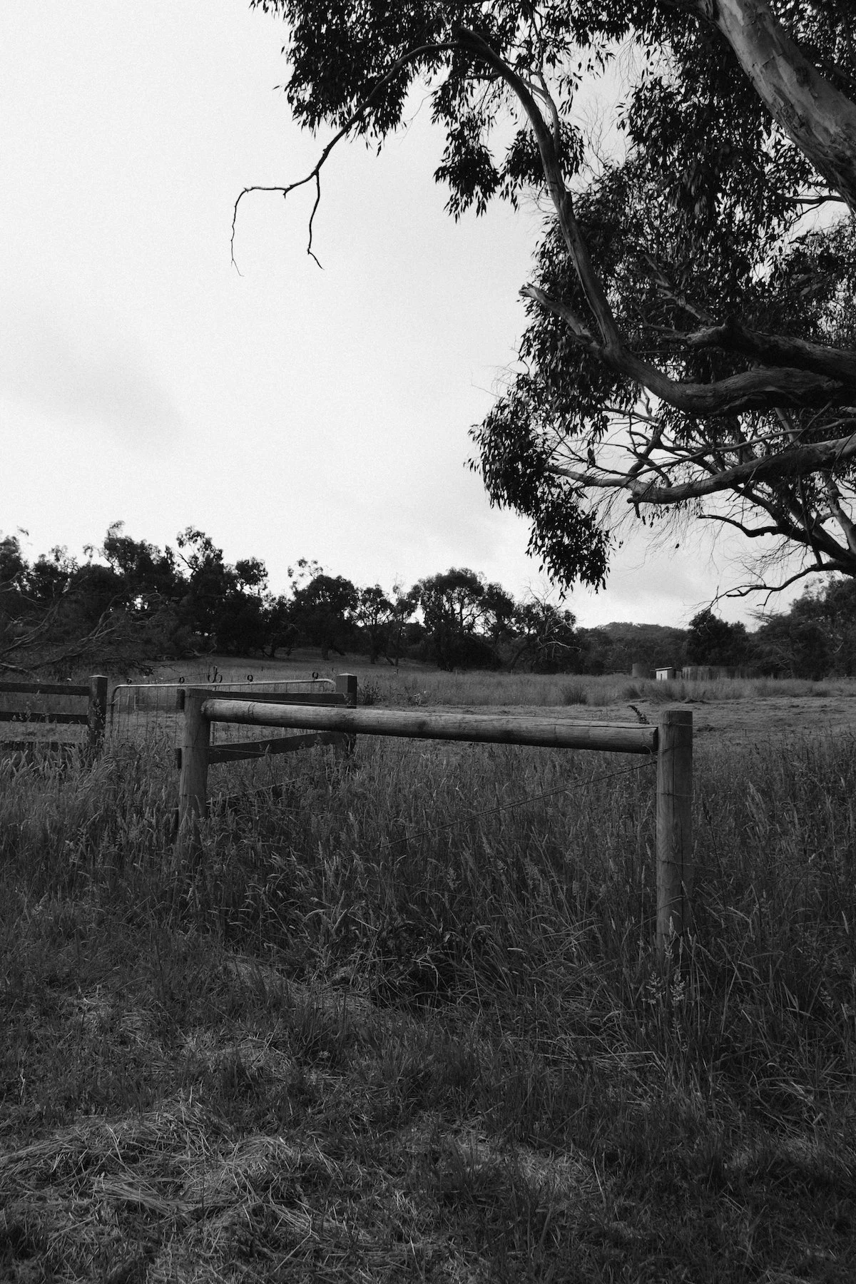 DSC_0032.jpg