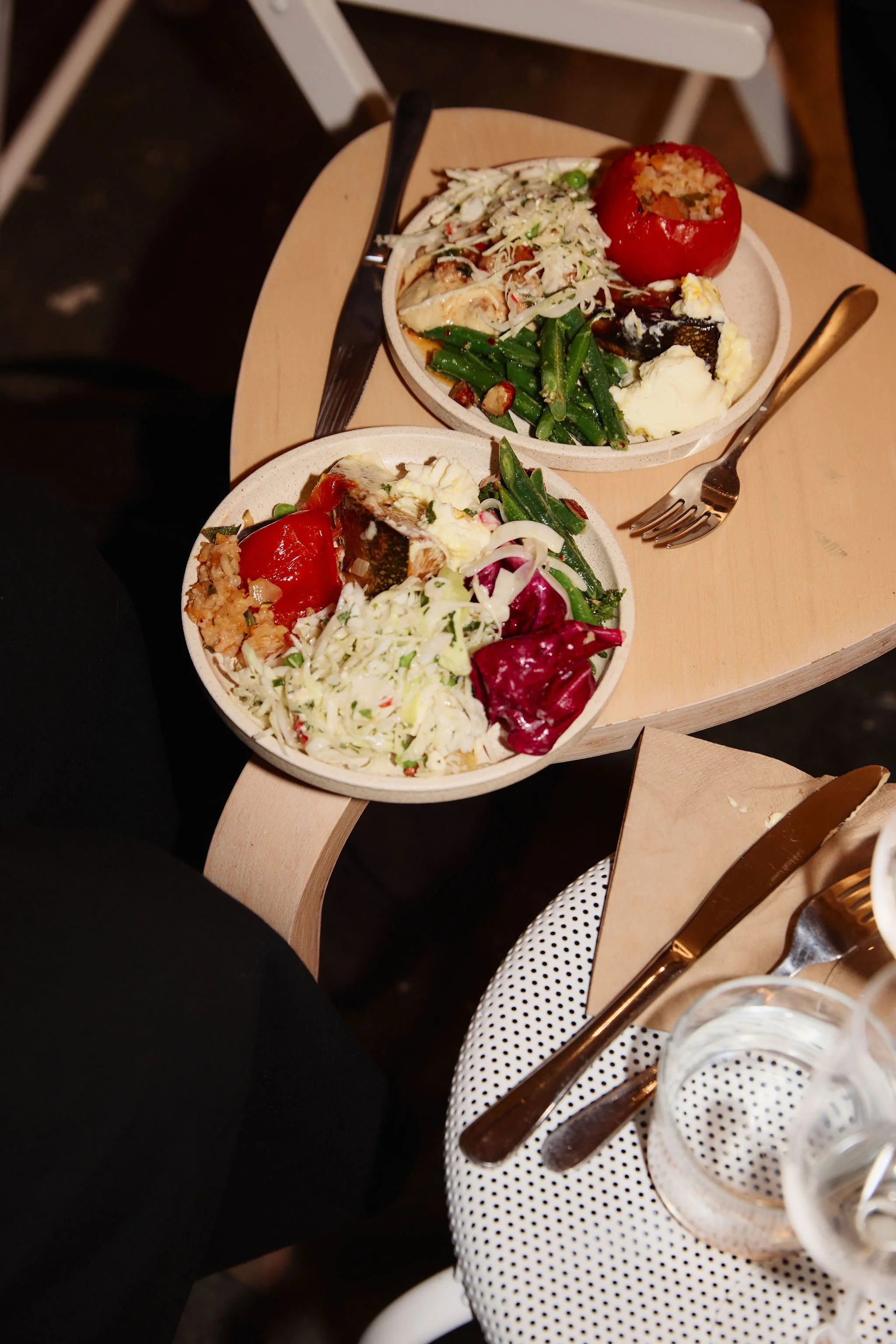 Lander-Se_TRACE_Dinner132.jpg