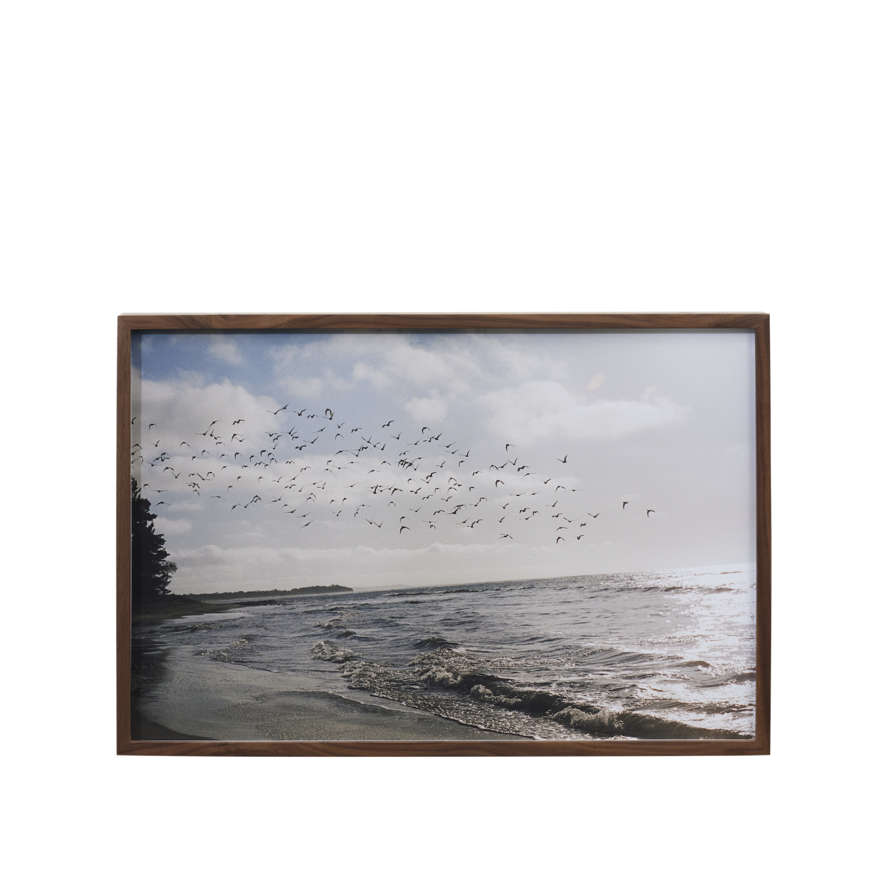 SCAPE_@Lander—Se-2024.008.png