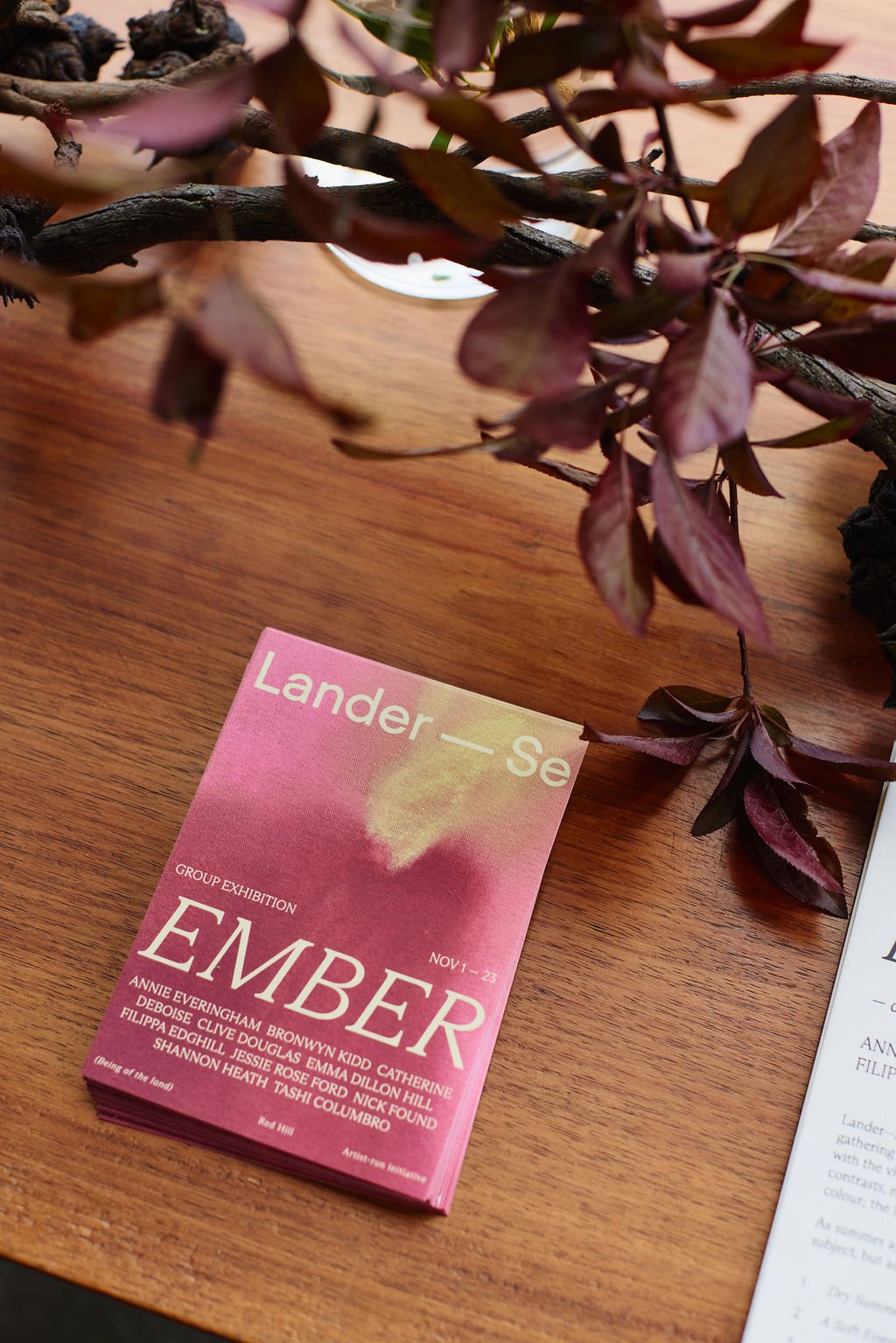 Lander-Se_EMBER_148.jpg