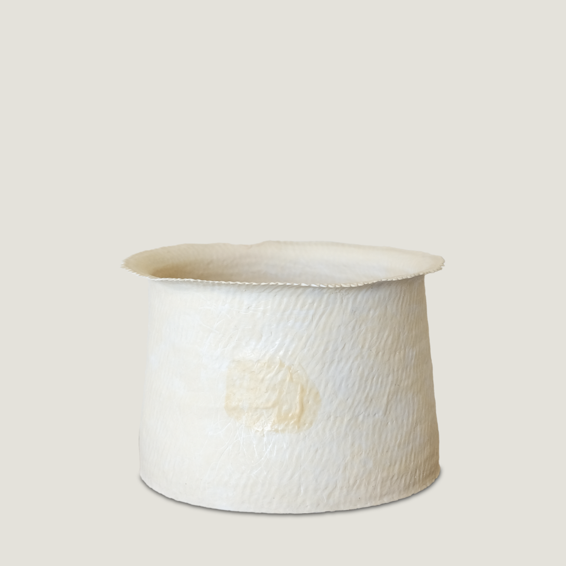 'Mung Bean Fillings' — Thannie Phan