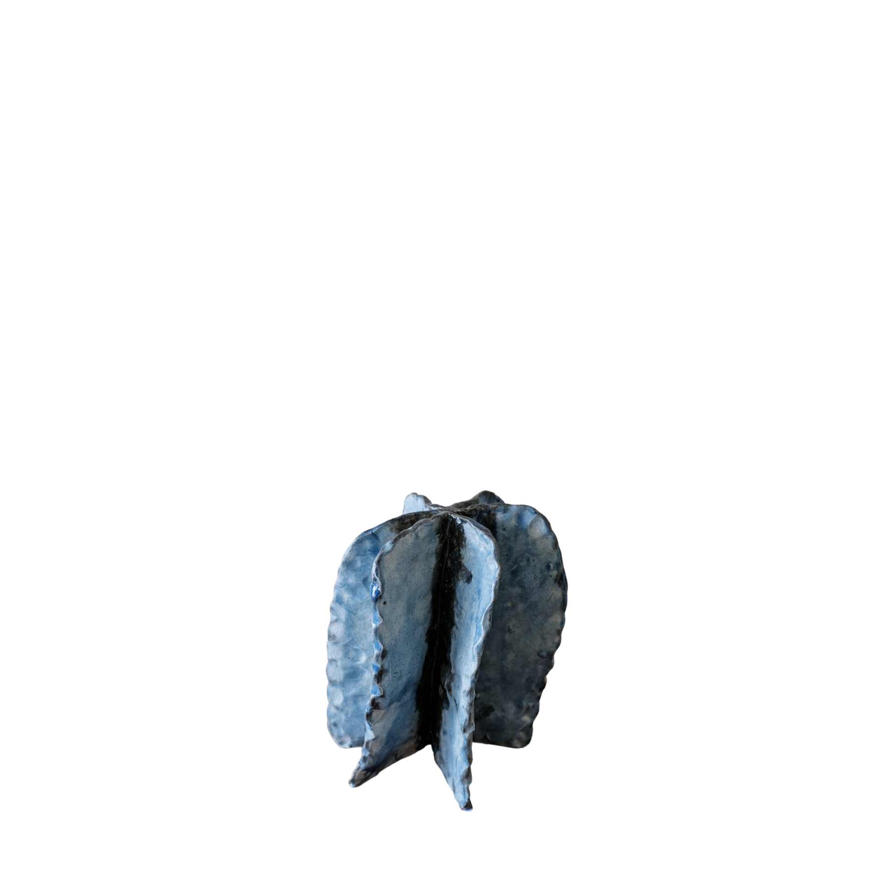 'Petals' — Emma Cleine