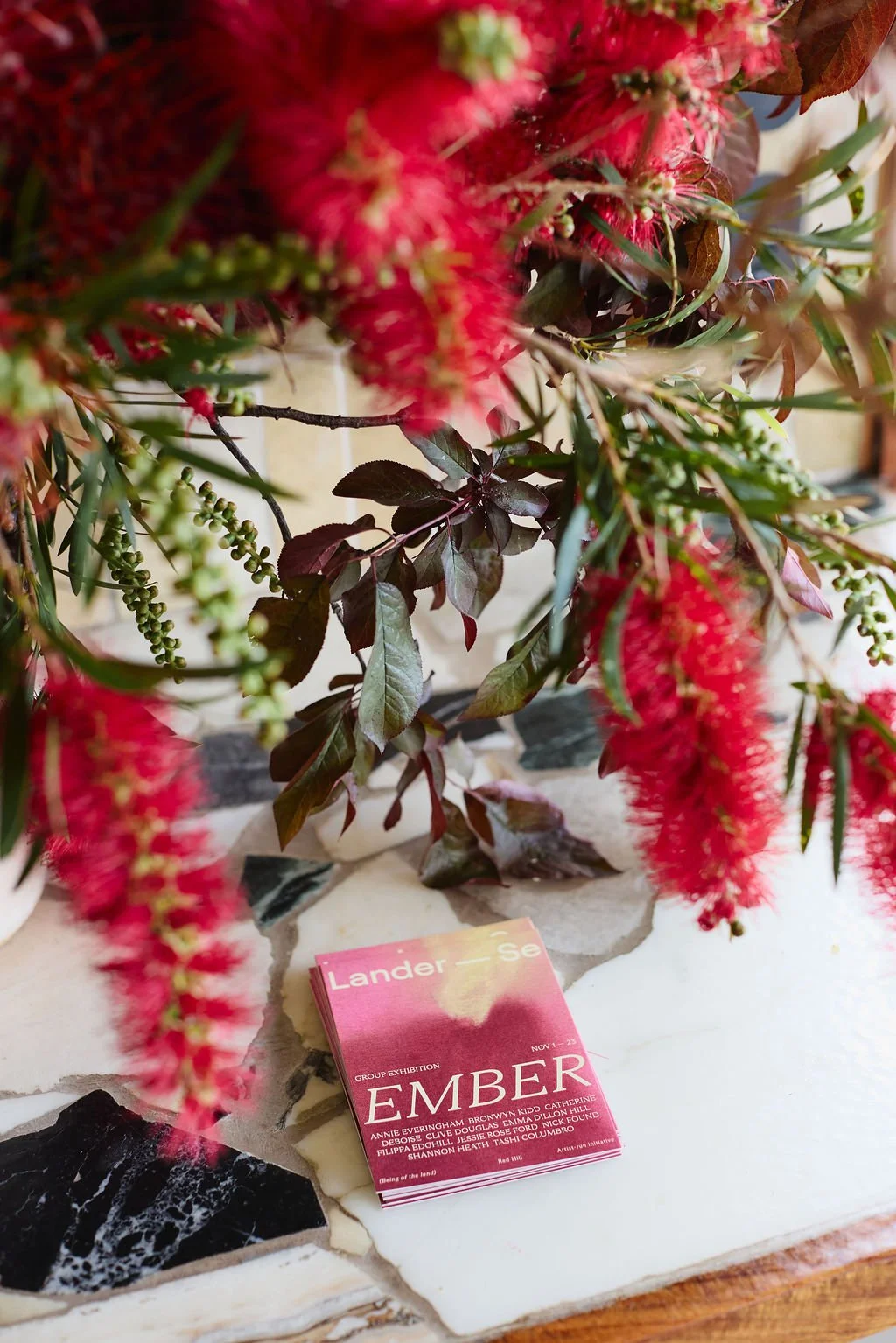 Lander-Se_EMBER_124.jpg