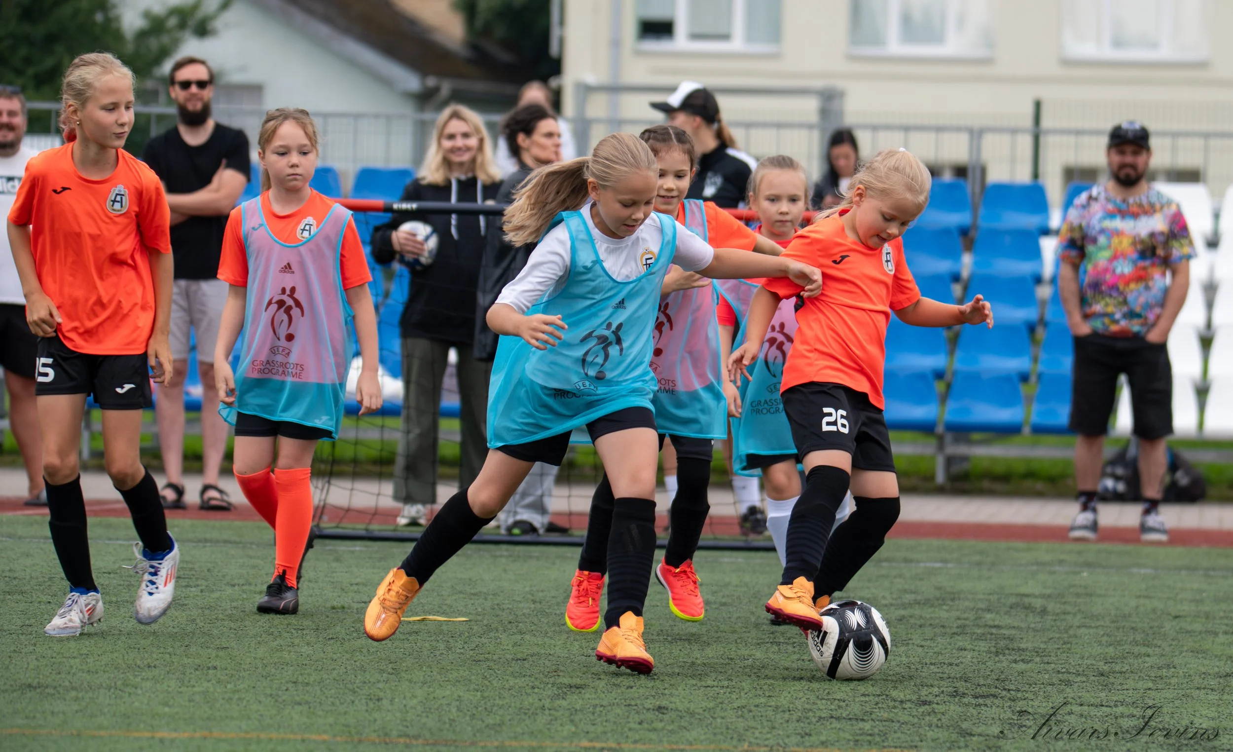 54790935894_11165e3eef_o.jpg