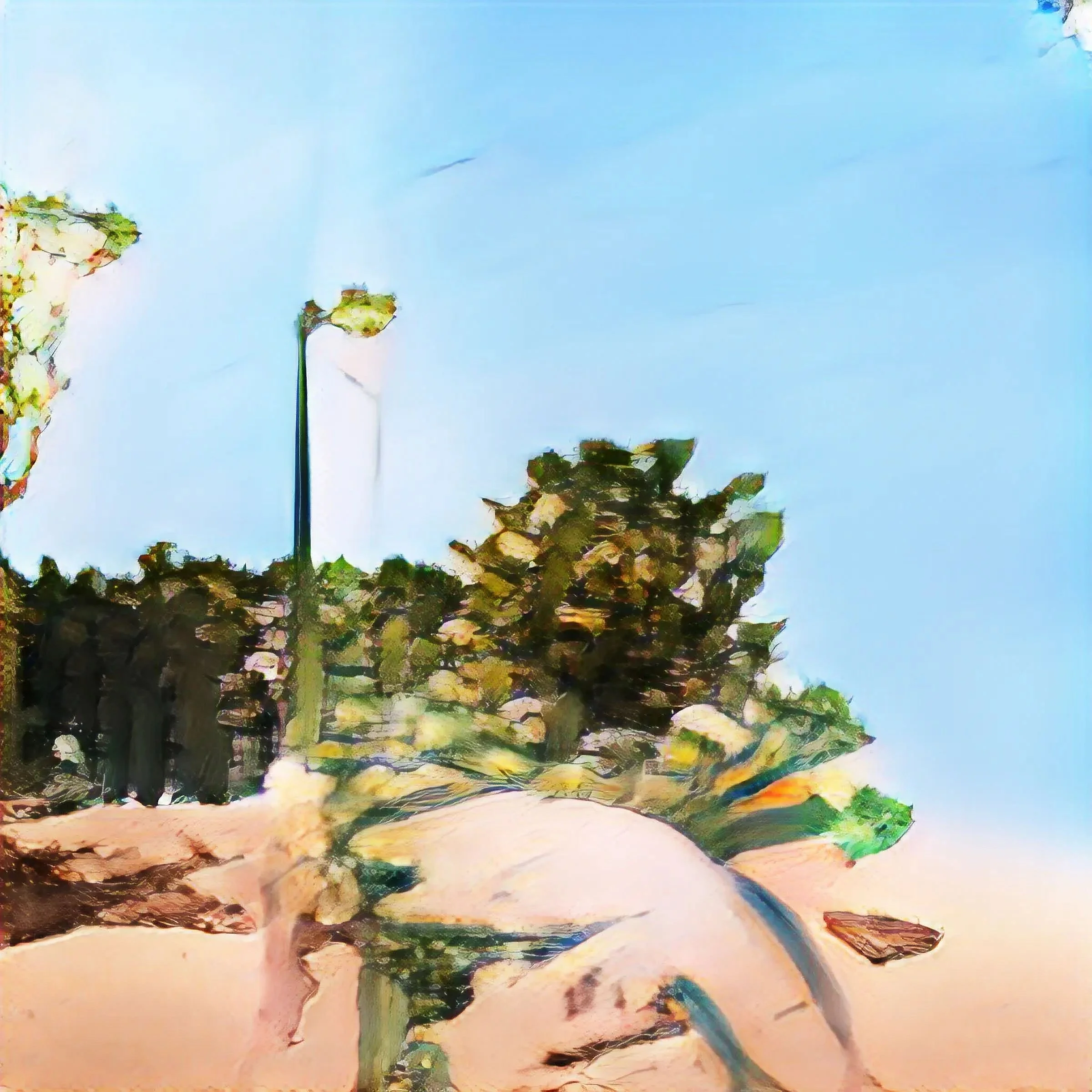    NO. 63 by Norbert Schoerner from      Gallery 46    