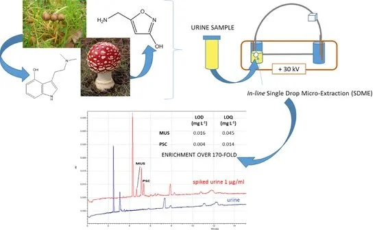     Direct Analysis of Psilocin and Muscimol in Urine Samples Using Single Drop Microextraction Technique In-Line with Capillary Electrophoresis      by Anna Poliwoda, Katarzyna Zielińska Piotr P. Wieczorek published in Molecules spring 2020.   