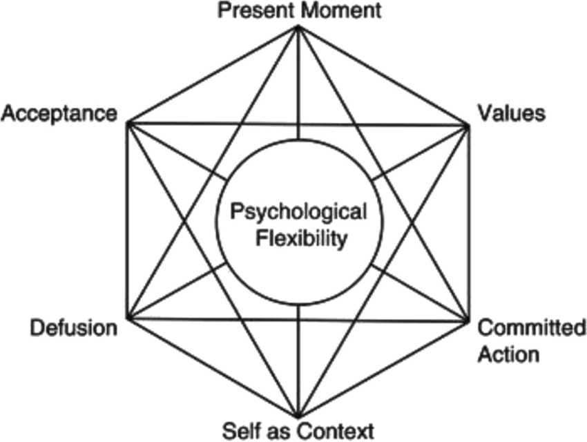    Acceptance and commitment therapy’s ‘hexaflex’ graph   