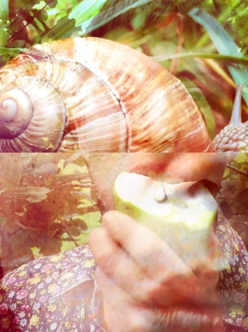       From Internice Eating the Weather by Charlotte Wendy Law   