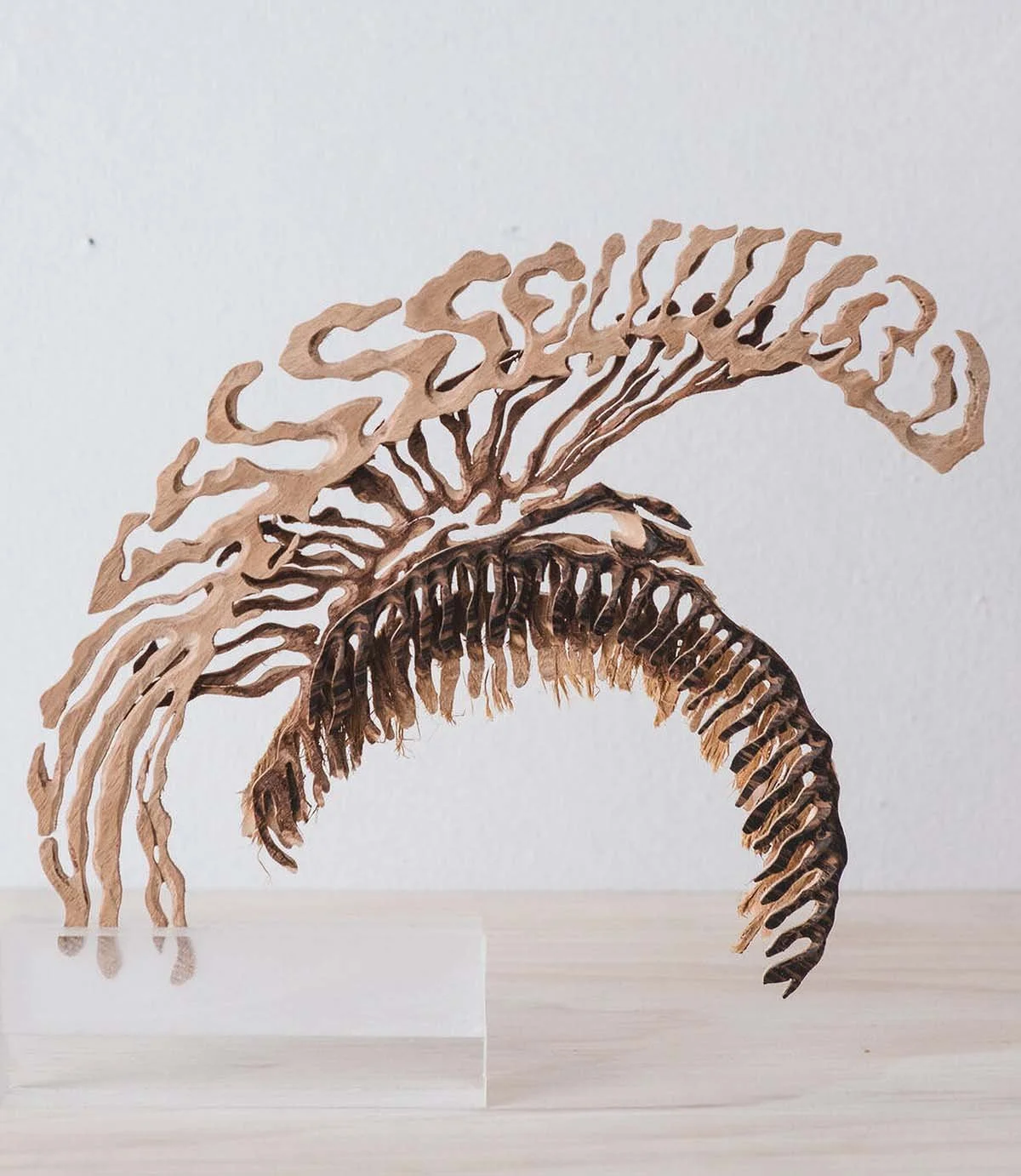       Pamela Simard     , ‘BDL’   