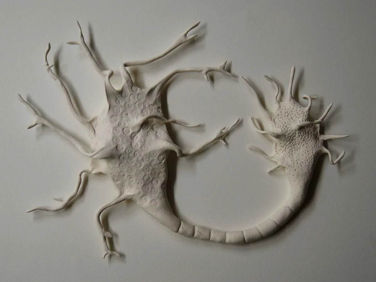     Shanthi Chandrase,      ‘Neural Introspection’    