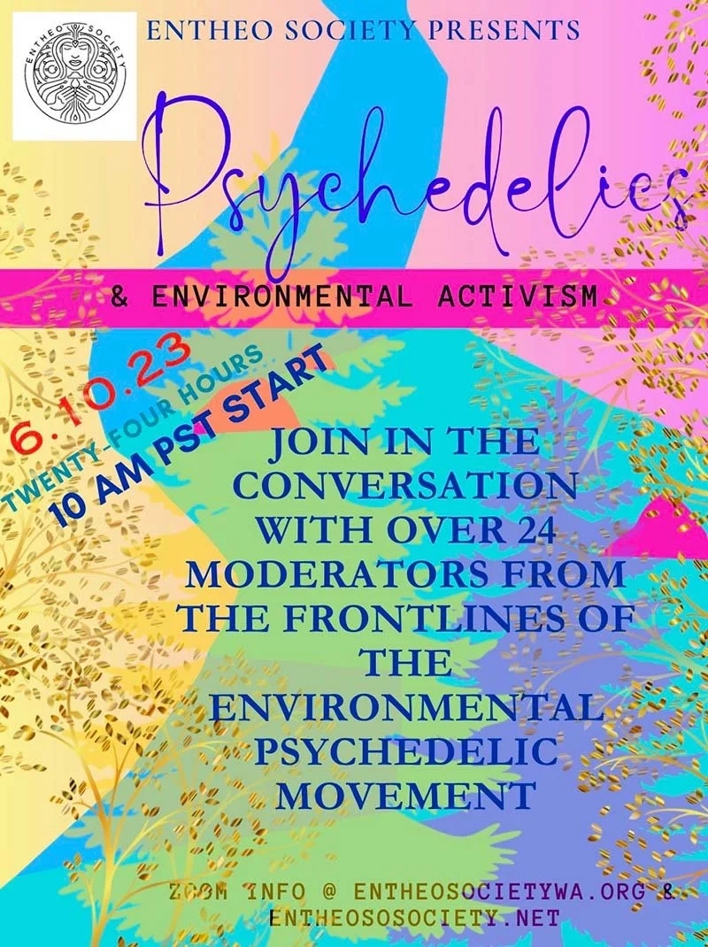 entheo environment flyer