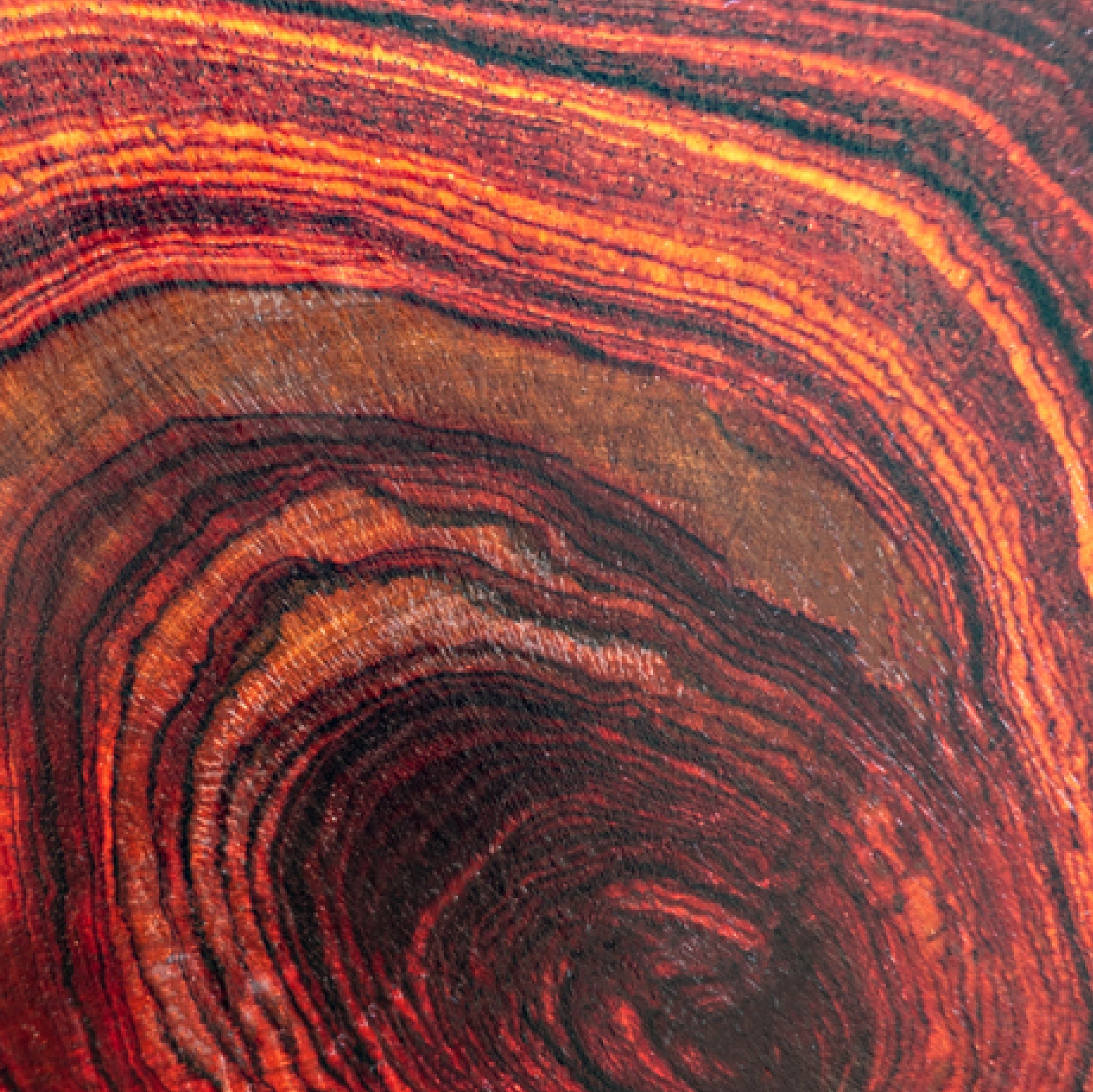 FragrantCode_Bases_Rosewood.jpg
