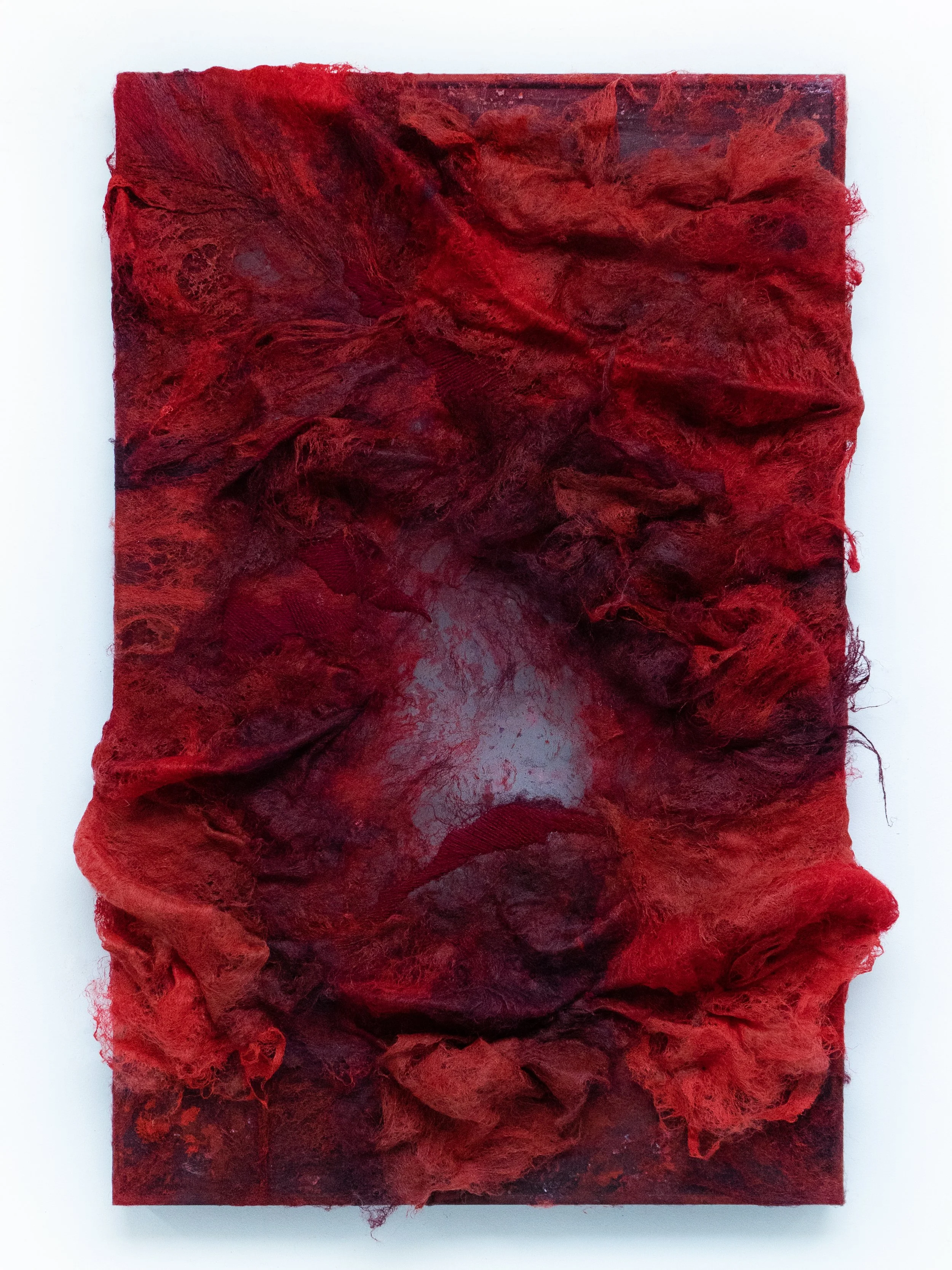‘𝘄𝗵𝗮𝘁 𝗶𝘀 𝗲𝗹𝘀𝗲 𝗻𝗼𝘁 𝘁𝗼 𝗯𝗲 𝗼𝘃𝗲𝗿𝗰𝗼𝗺𝗲?’
acrylic and mixed media on organza
70x45cm, 2025