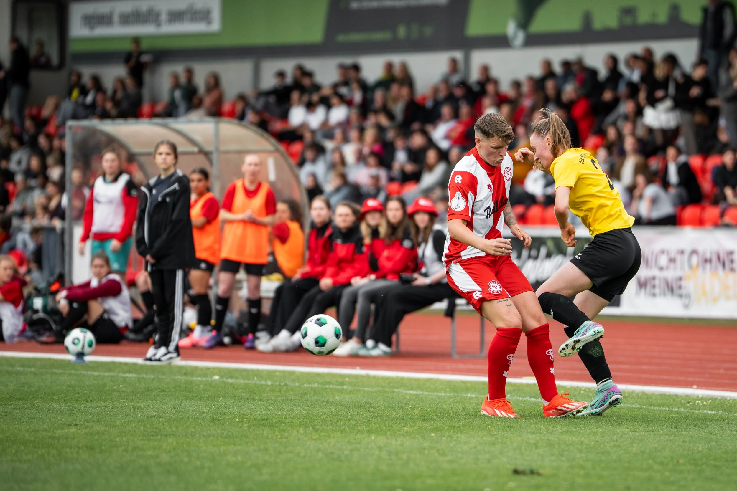 DSC07978 (2025-06-06T08_36_12.639).jpg