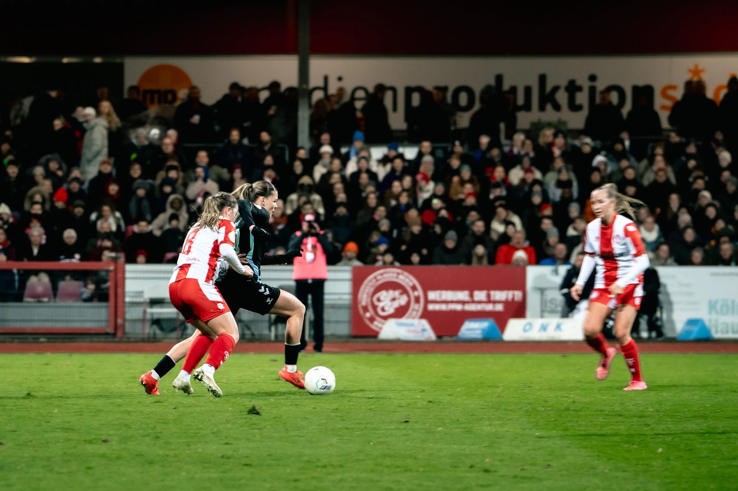 DSC03886 (2024-11-26T14_27_20.595).jpg