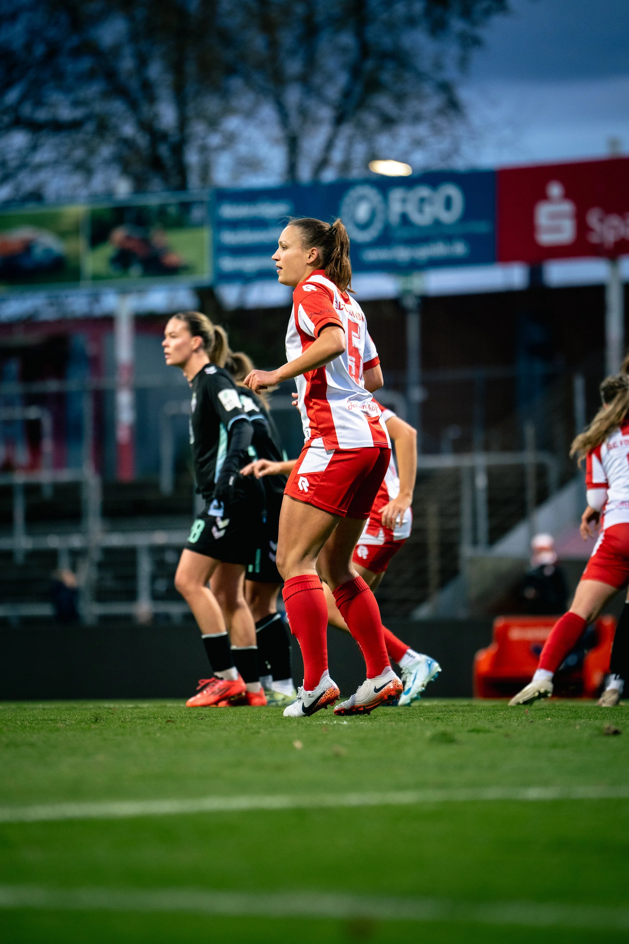 DSC03699 (2024-11-26T14_22_51.408).jpg