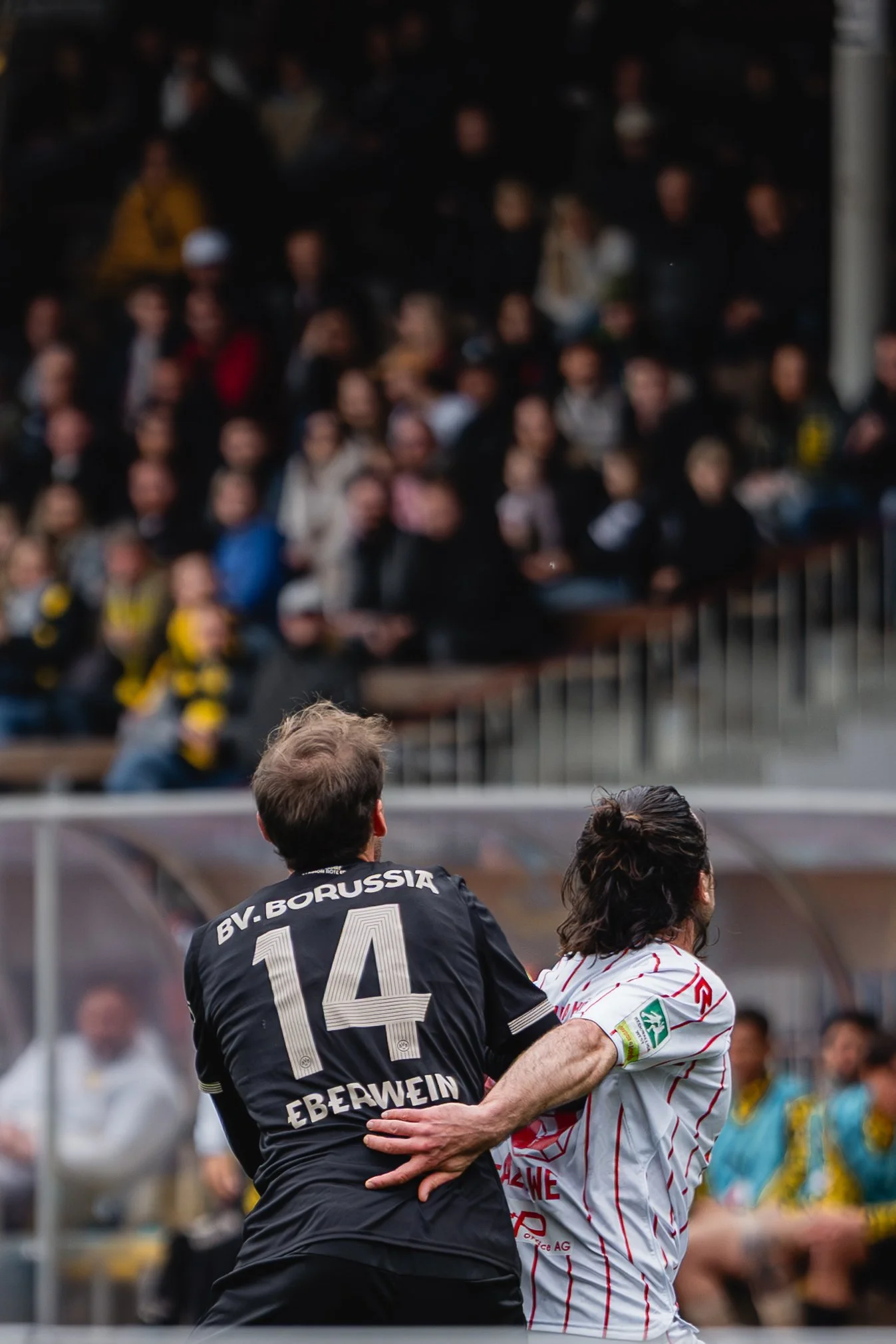 DSC02233 (2026-04-05T16_33_54.188).jpg