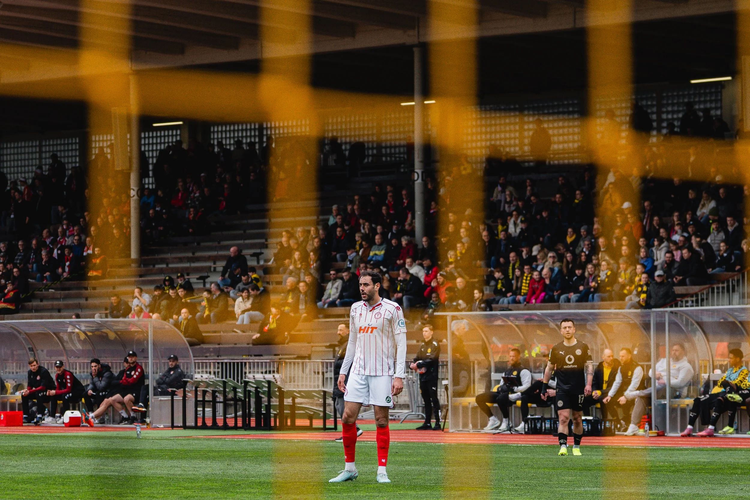 DSC02209 (2026-04-05T16_33_46.319).jpg