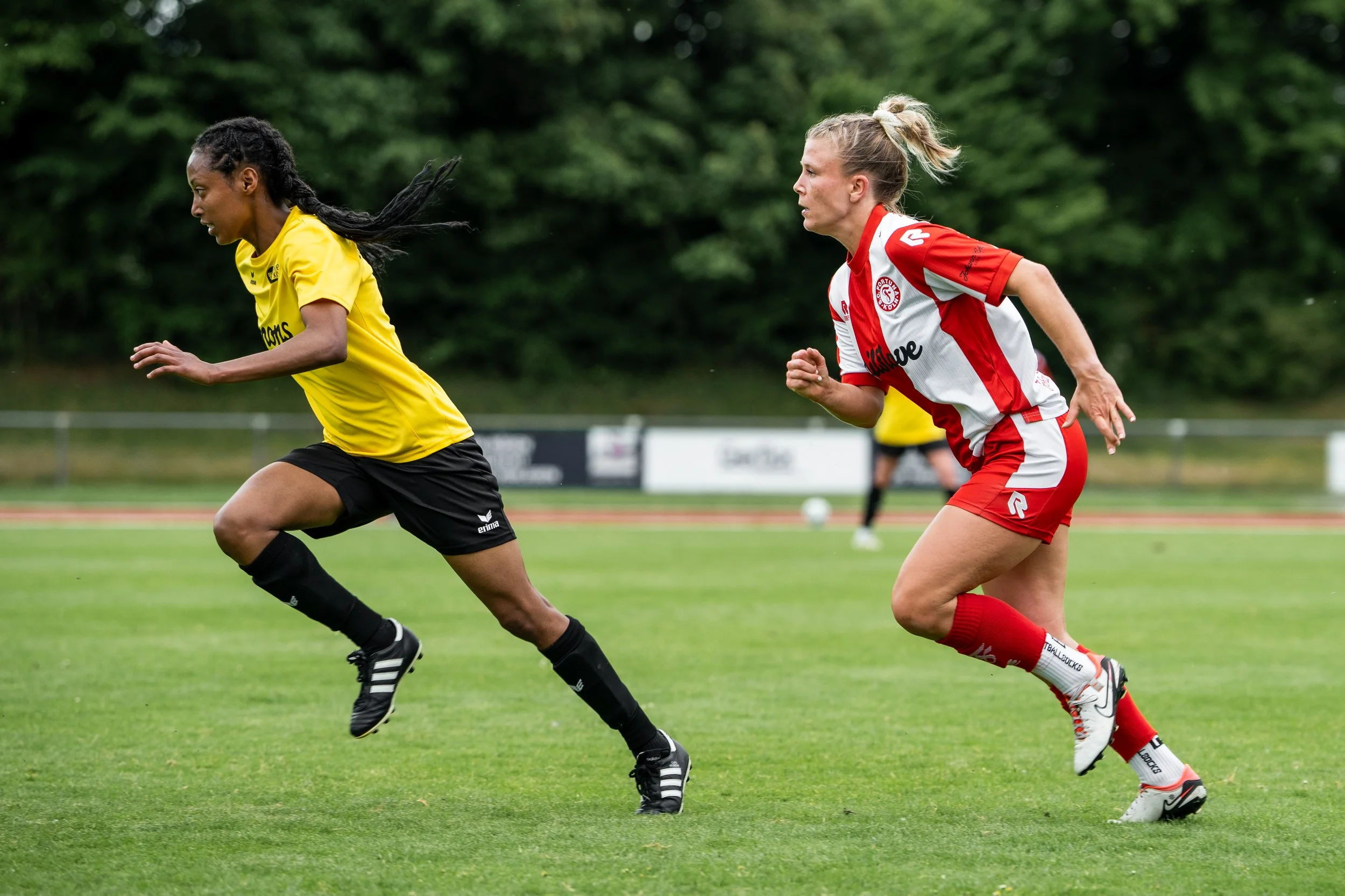 DSC07991 (2025-06-06T08_36_18.107).jpg