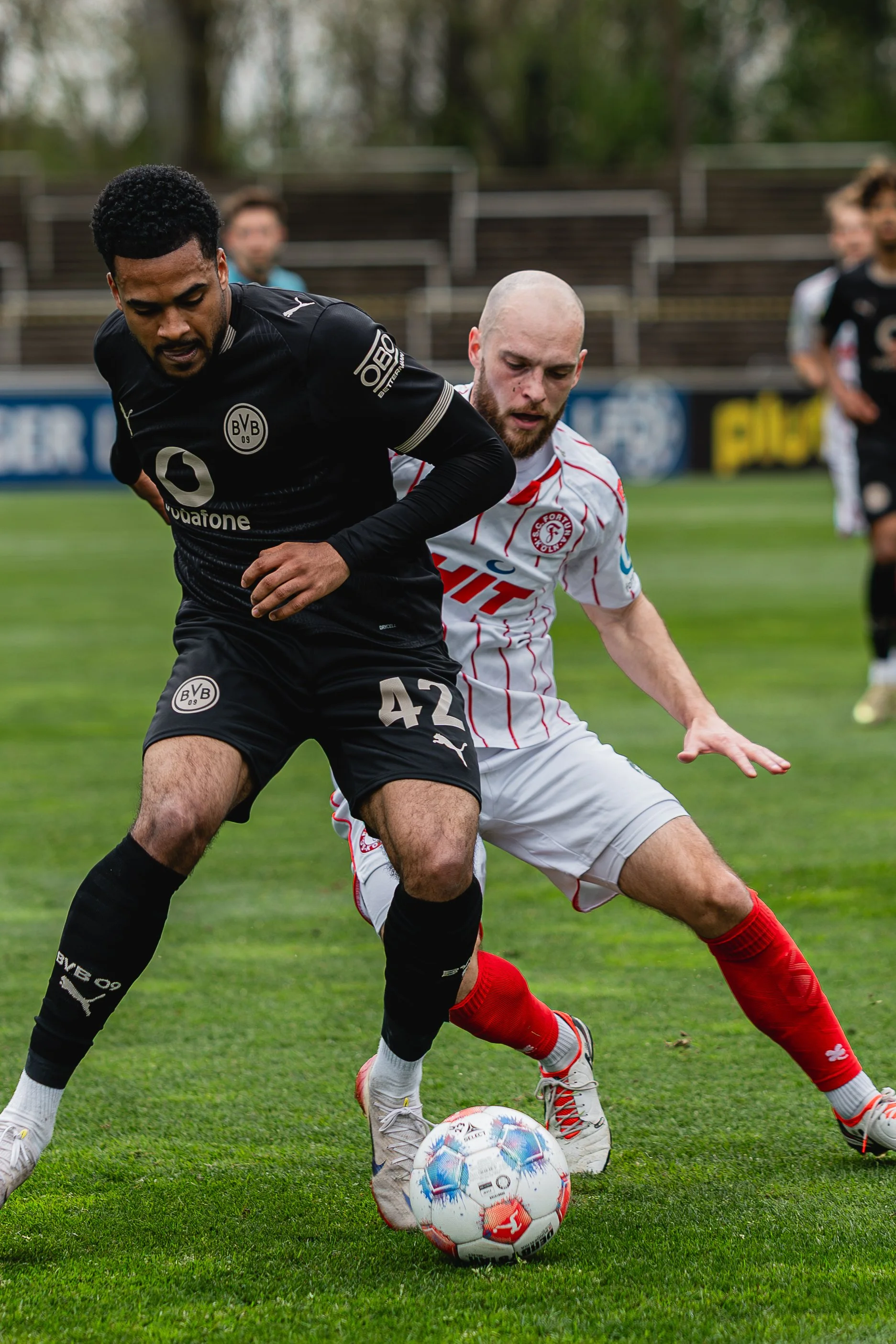 DSC02122 (2026-04-05T16_33_34.606).jpg