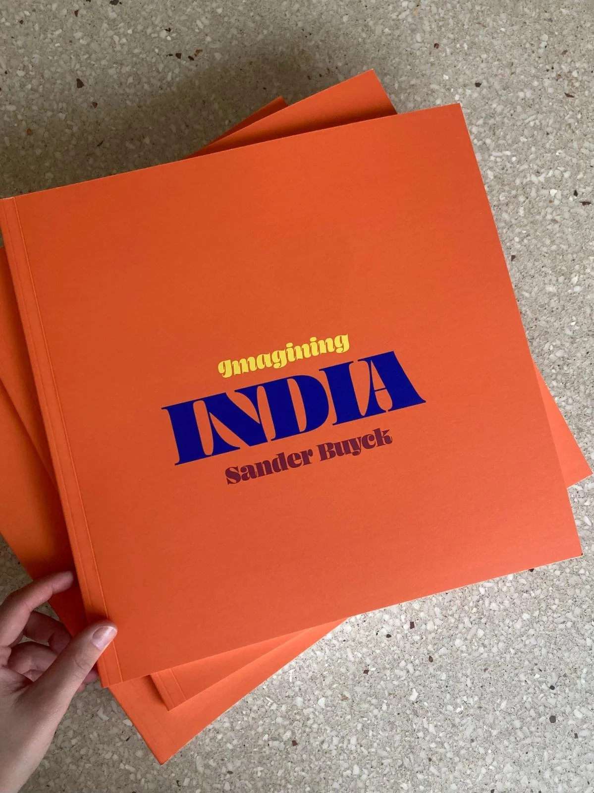Imagining India - book