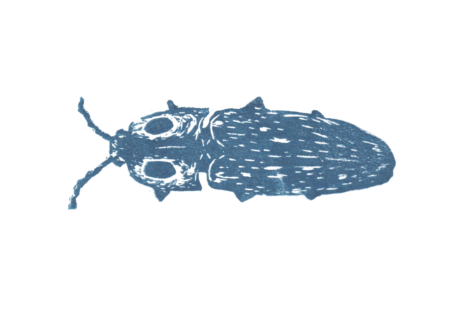 Jessie Lozanski Fine Art