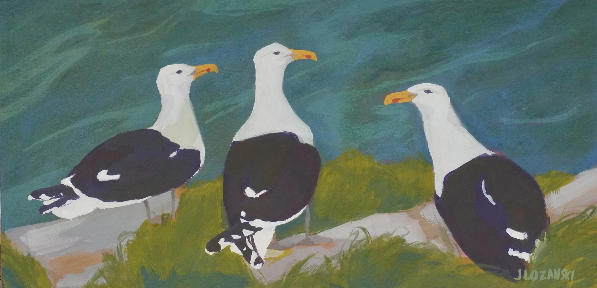 Great Black-Backed Gulls