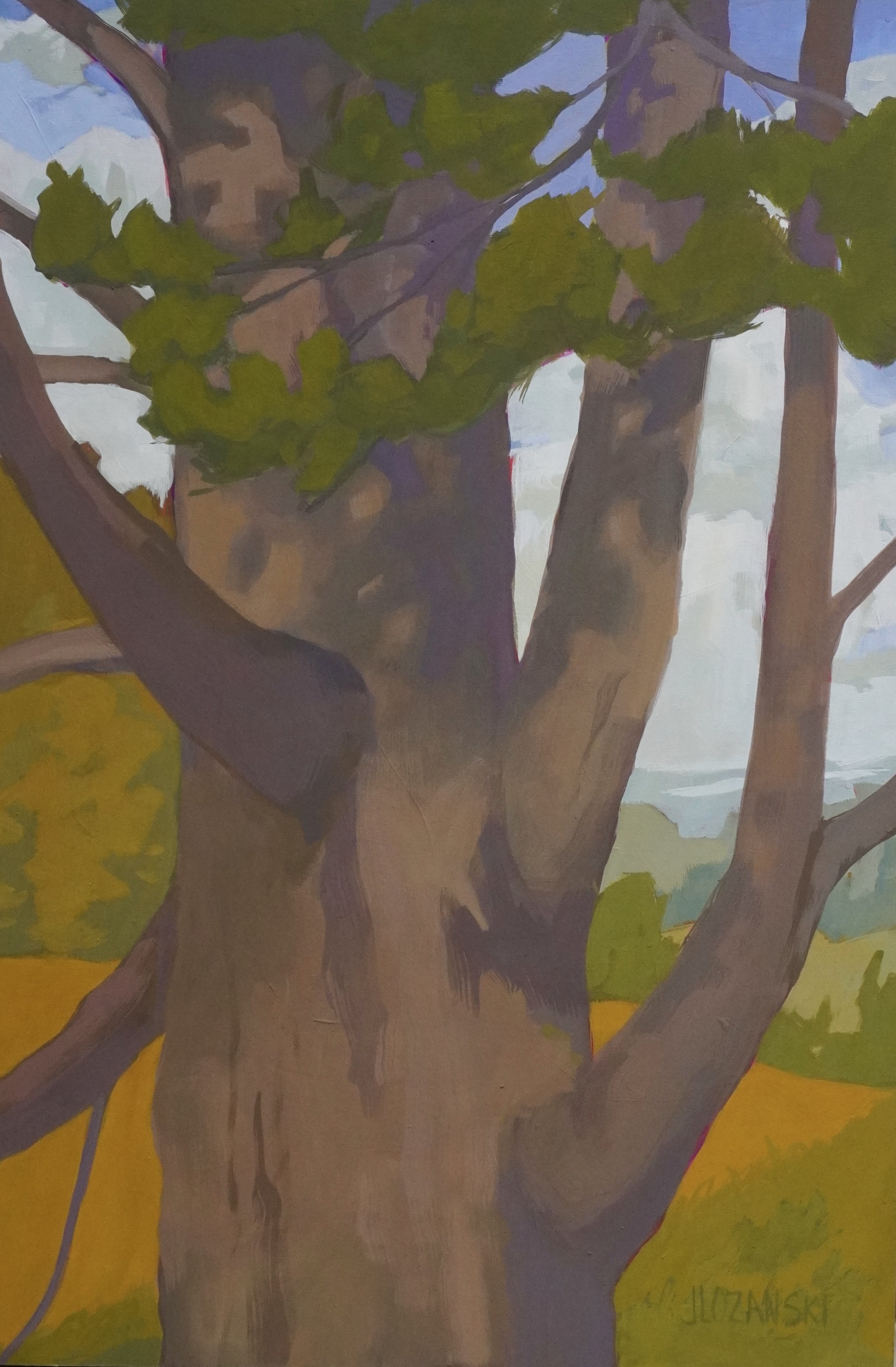 Witness Print