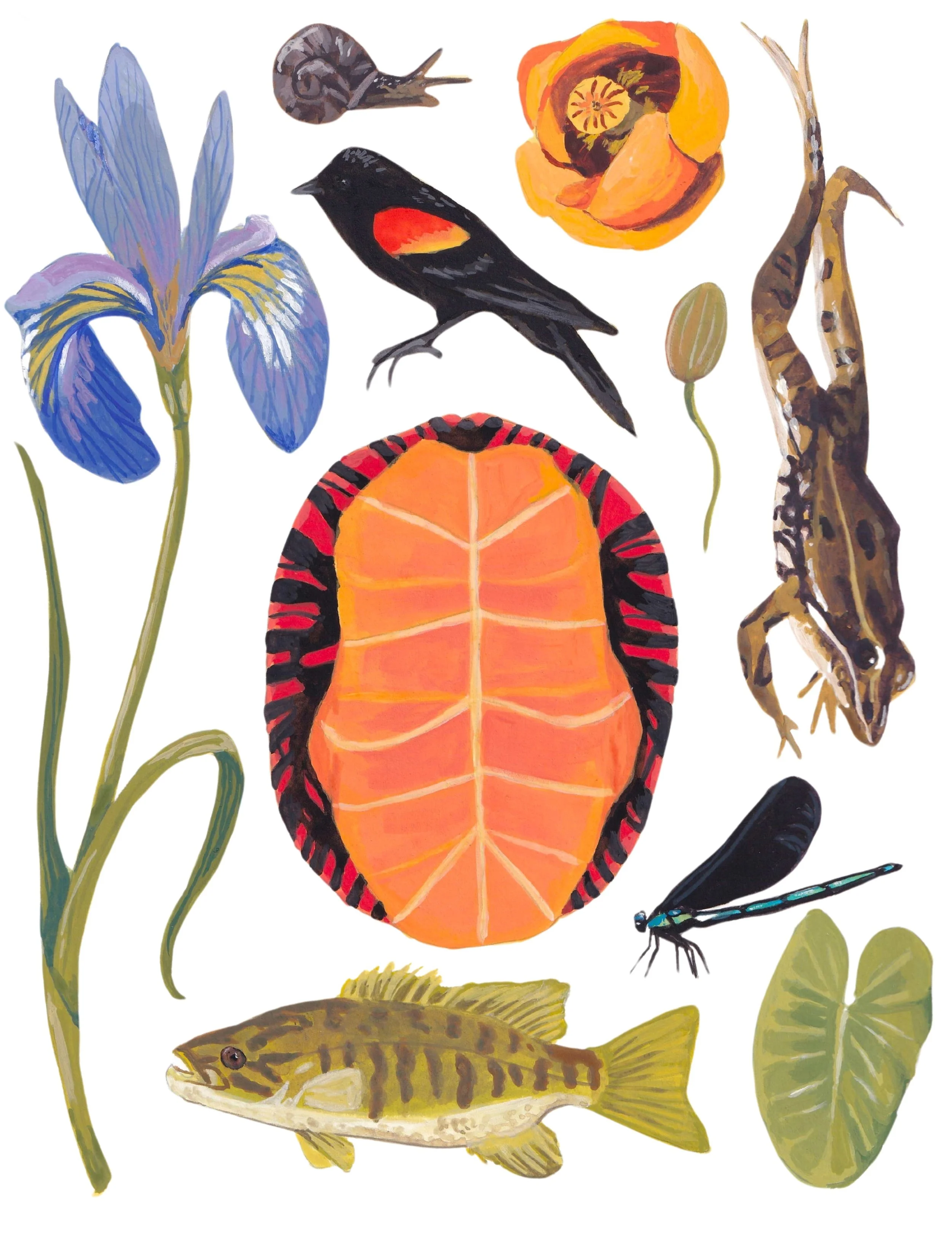 Ponds of New England Print