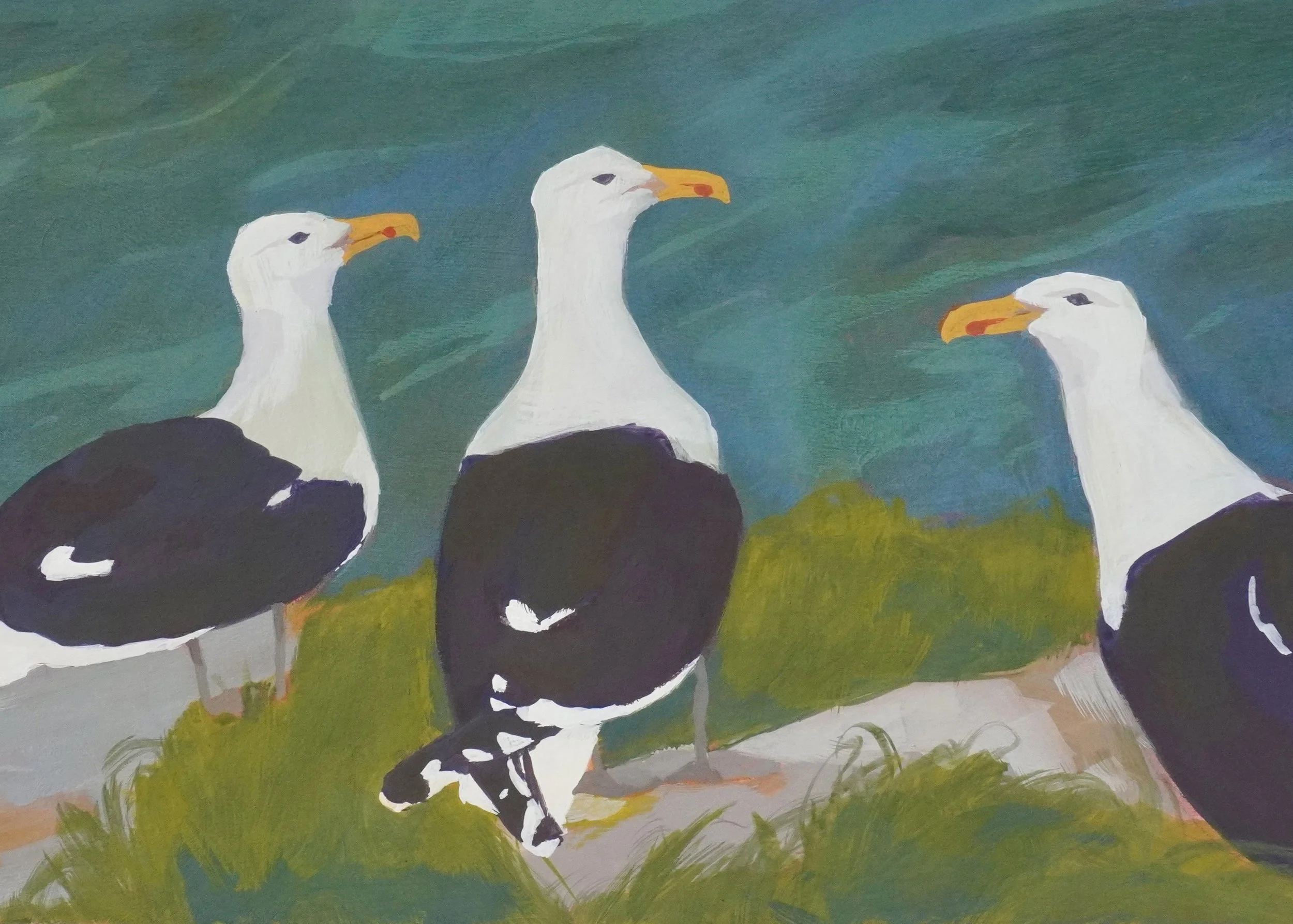 Great Black-backed Gulls.jpg