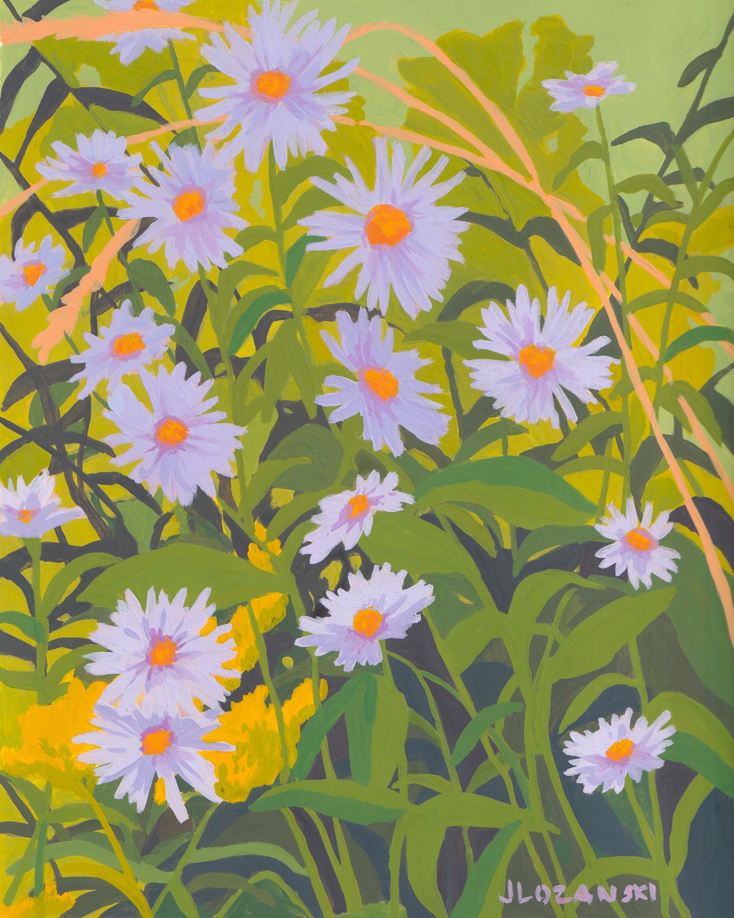 New England Aster.jpg