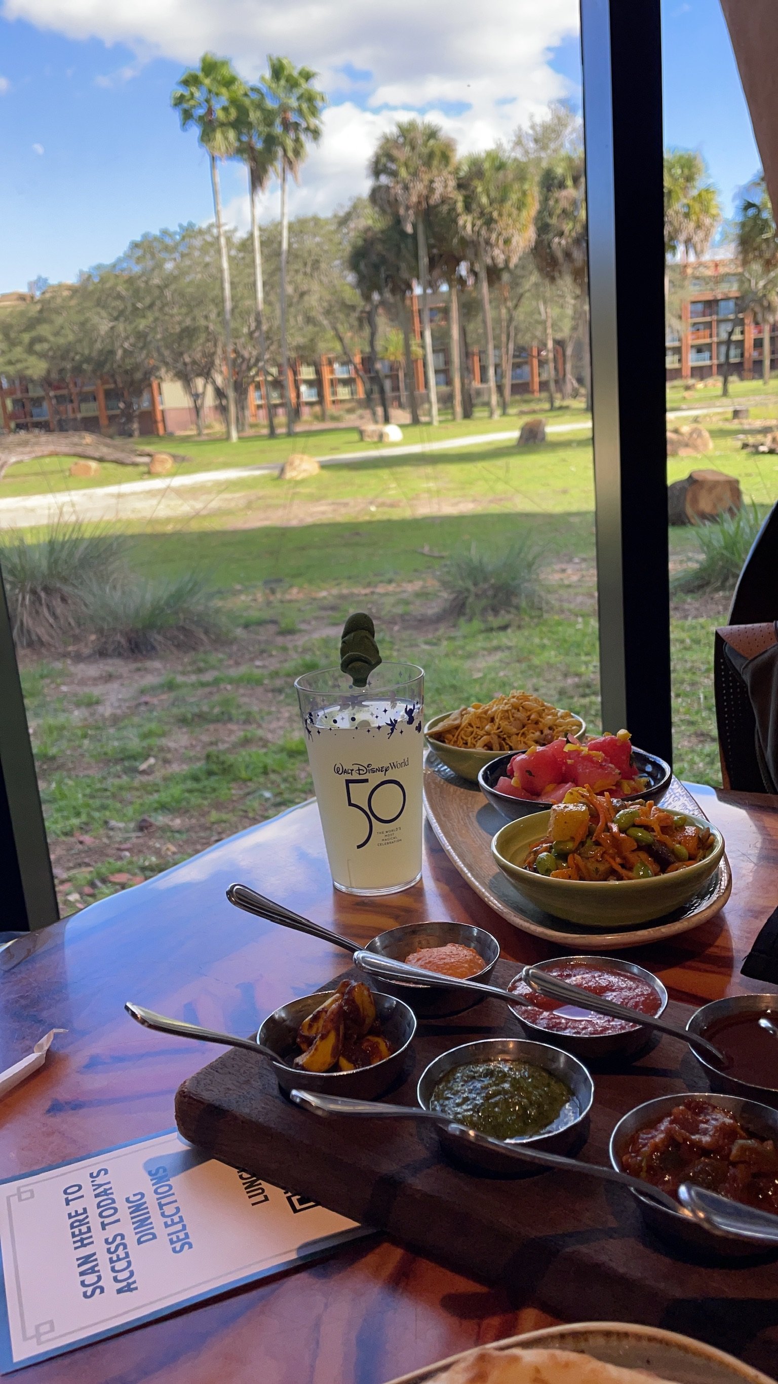 The Savannah view from our meal at Sanna at Animal Kingdom Lodge