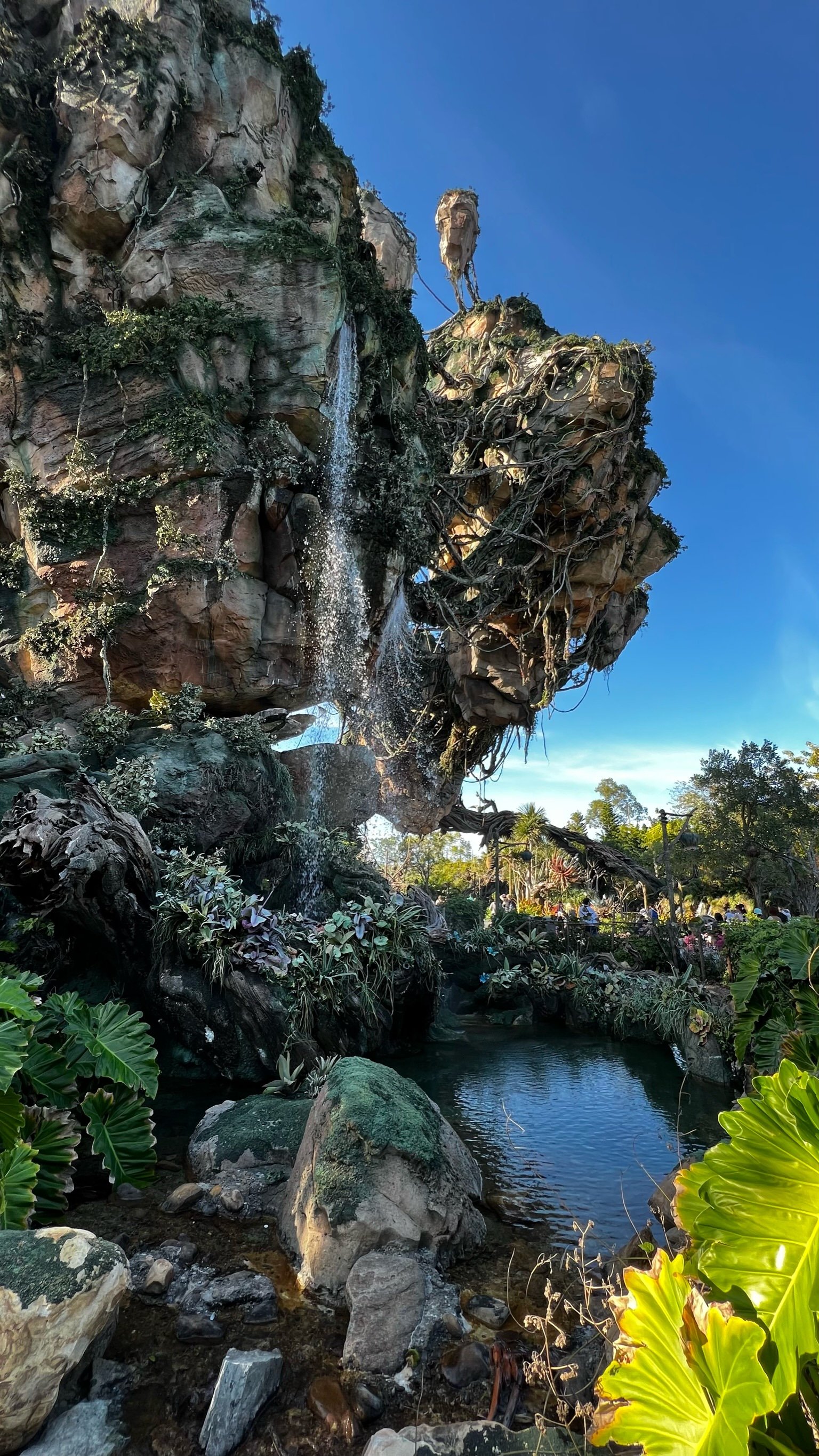 The waterfall and floating rocks of Pandora at Animal Kingdom