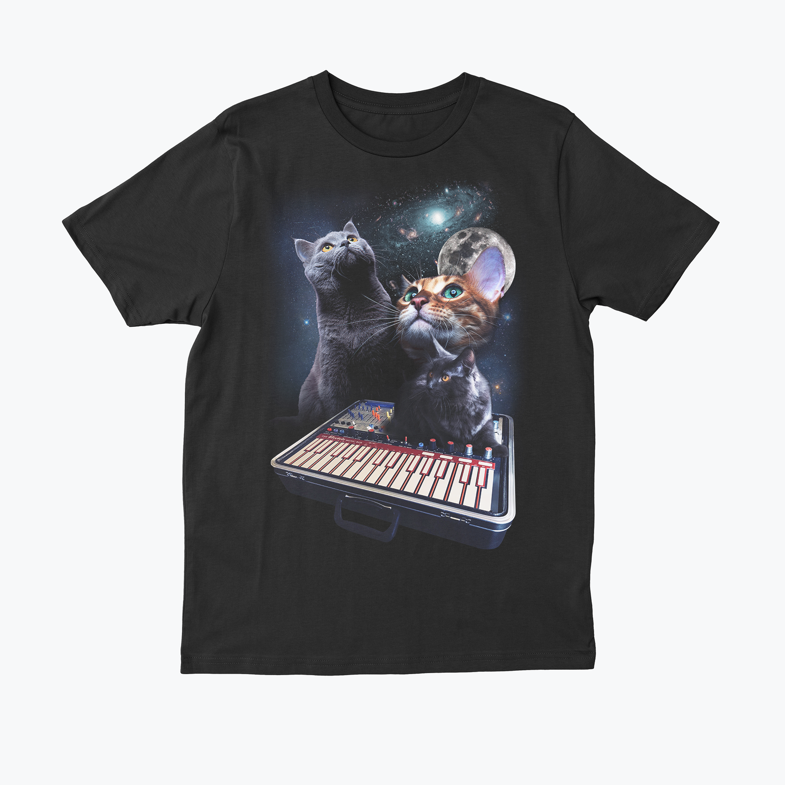 Buchla 1.png