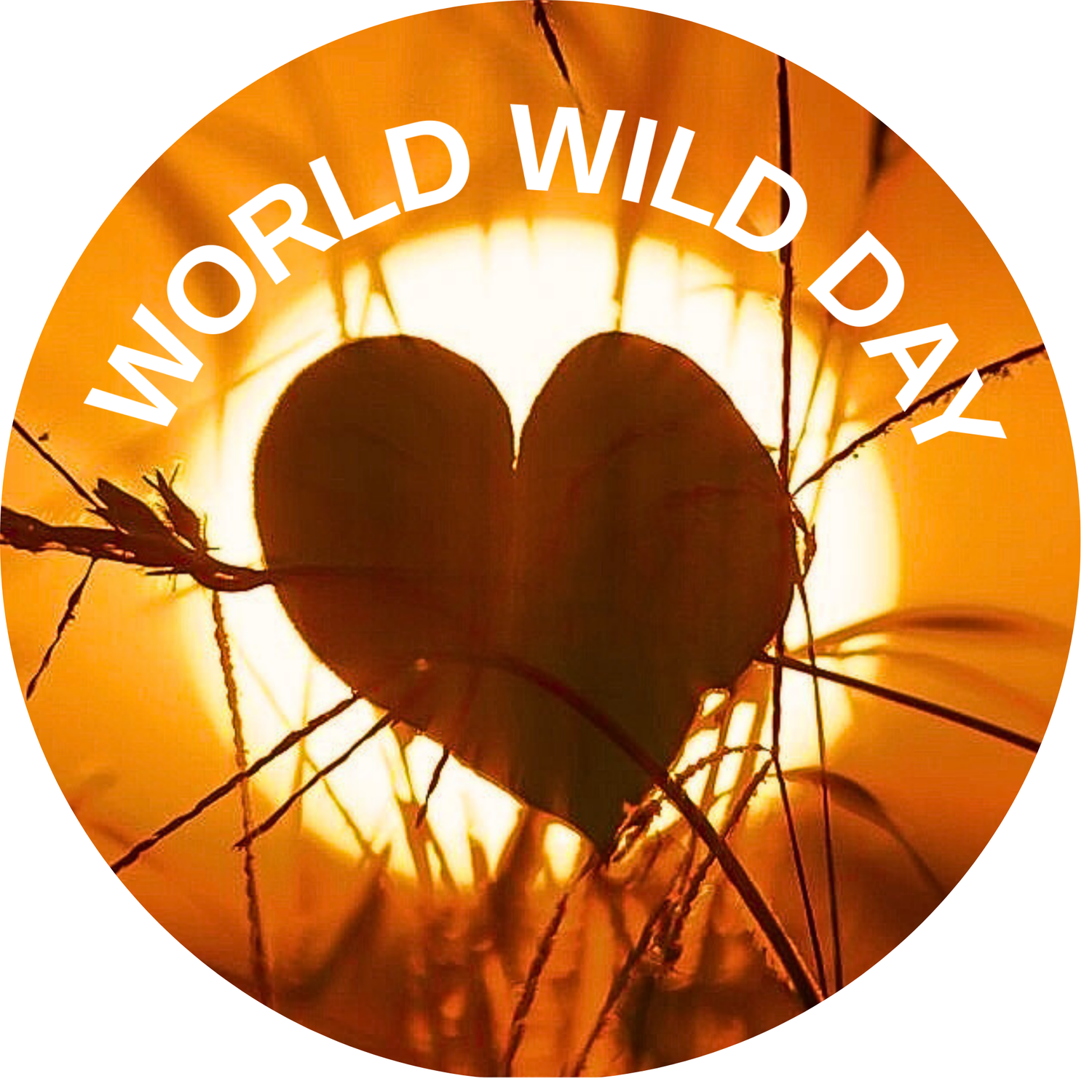 World Wild Day