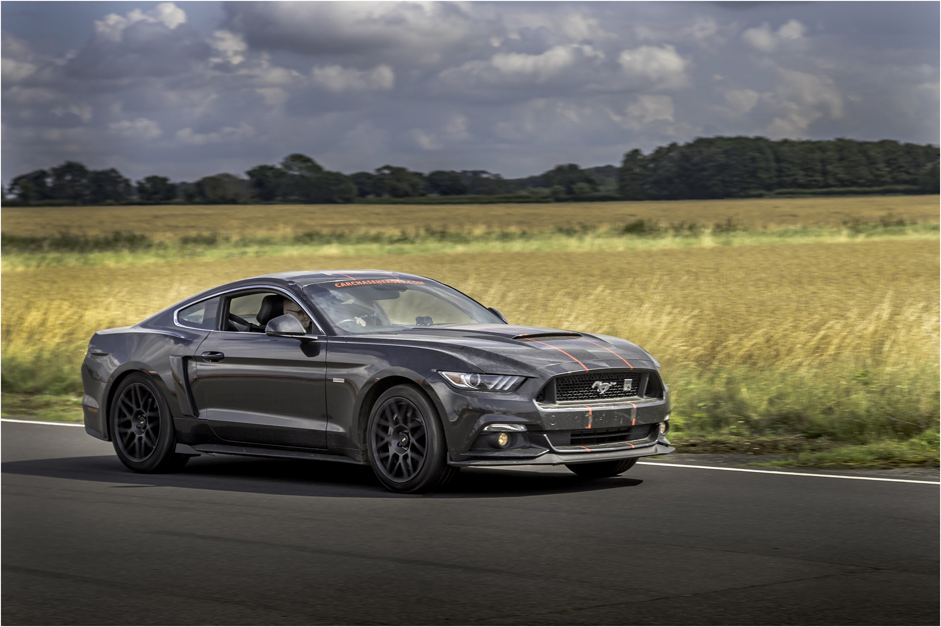 Roush Mustang 2.jpg