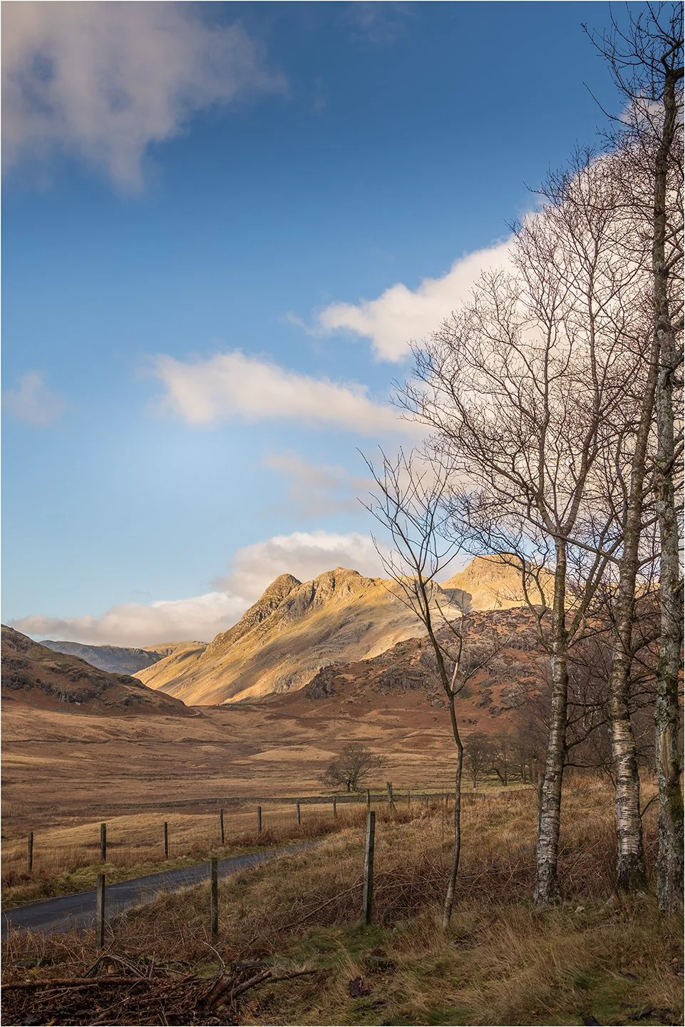 The Langdales.jpg