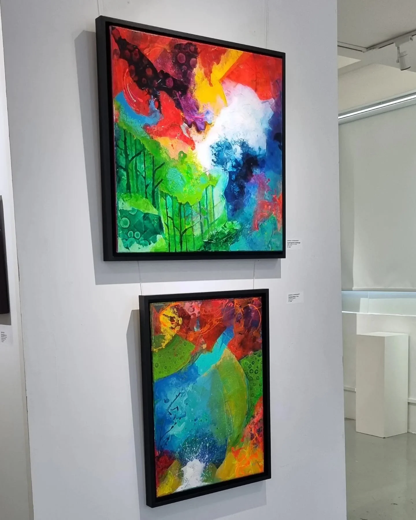 homeland 0823-4.jpeg