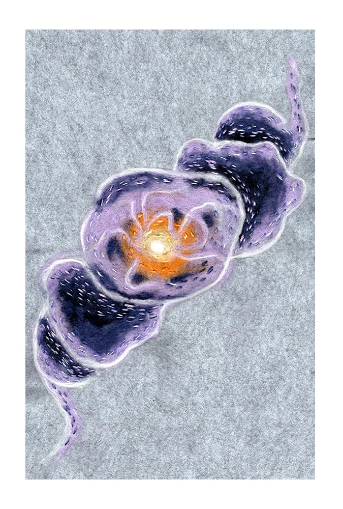 Sight of the Felis - (Needle Felting and Embroidery) 12in x 18in Framed.

This piece was inspired by a nebula called Cat's Eye. I loved the shape of this nebula and the way it spirals out. I interpreted the shape and colors with the needle felted woo