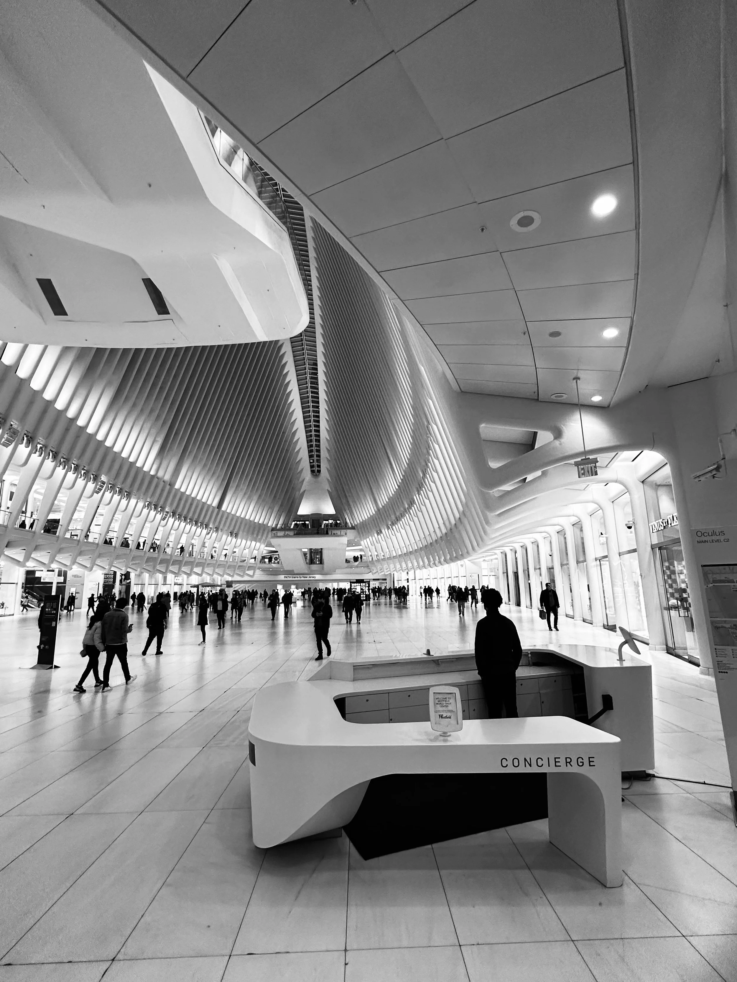 FullSizeRender 5.jpeg