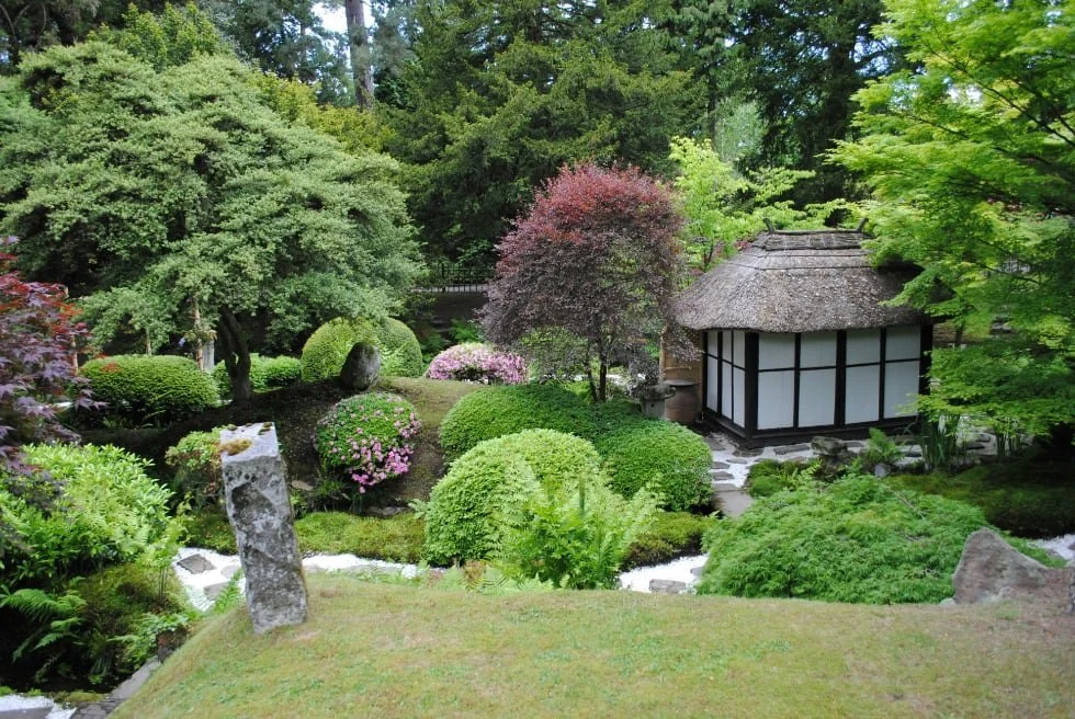 A traditional Japanese garden with lush green trees, shrubs, and a small pond, featuring a wooden gazebo with a thatched roof.