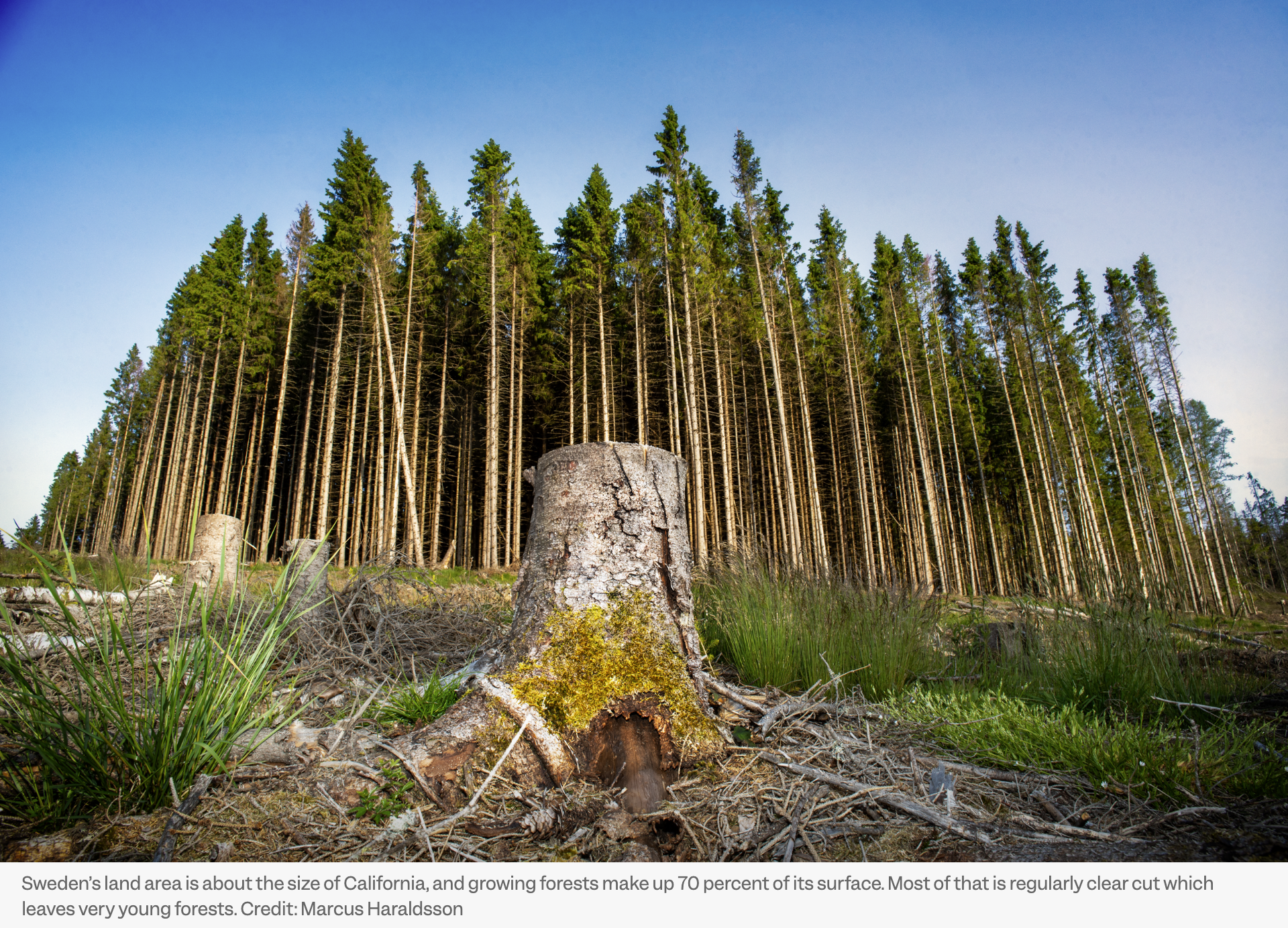 In-depth coverage of Sweden's climate retreat and EU consequences. Inside Climate News, August 2025. Click image for full story