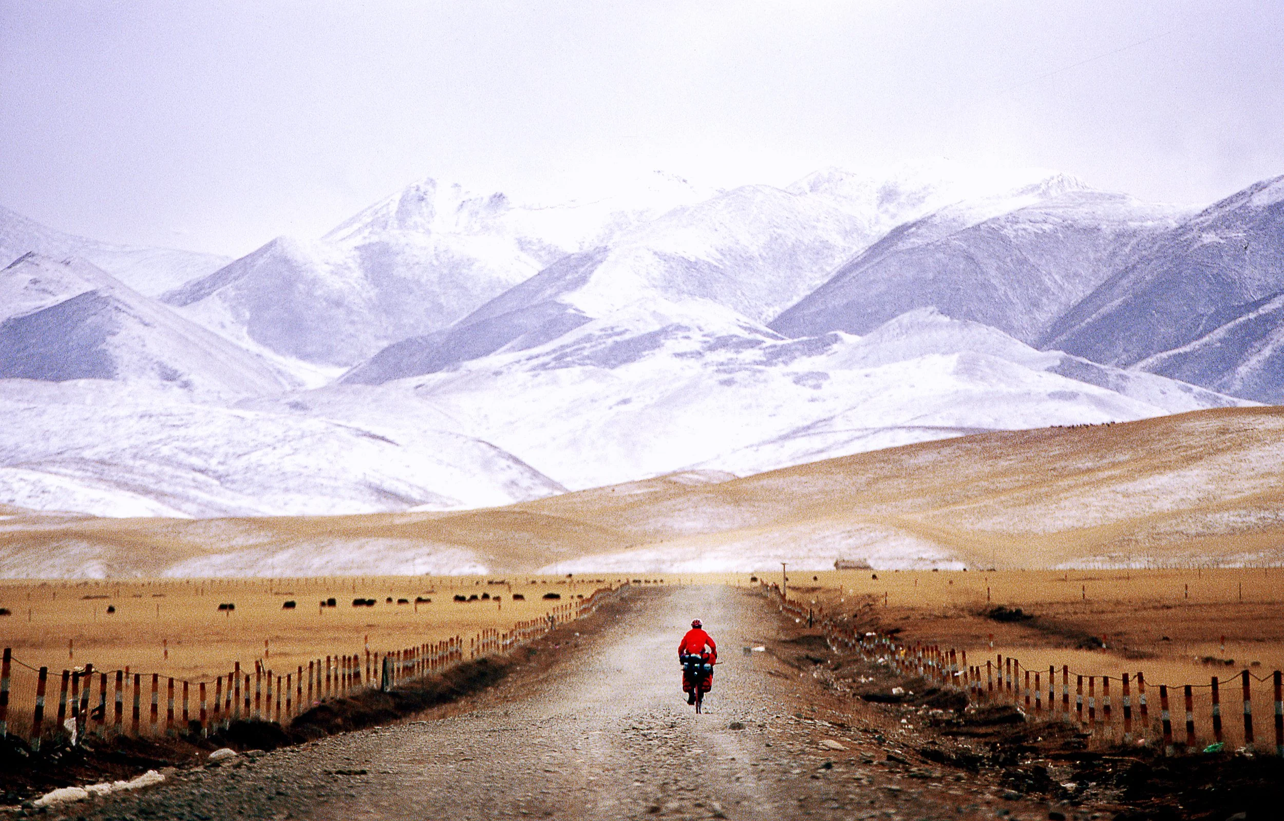 1_Haraldson.jpg  .jpg