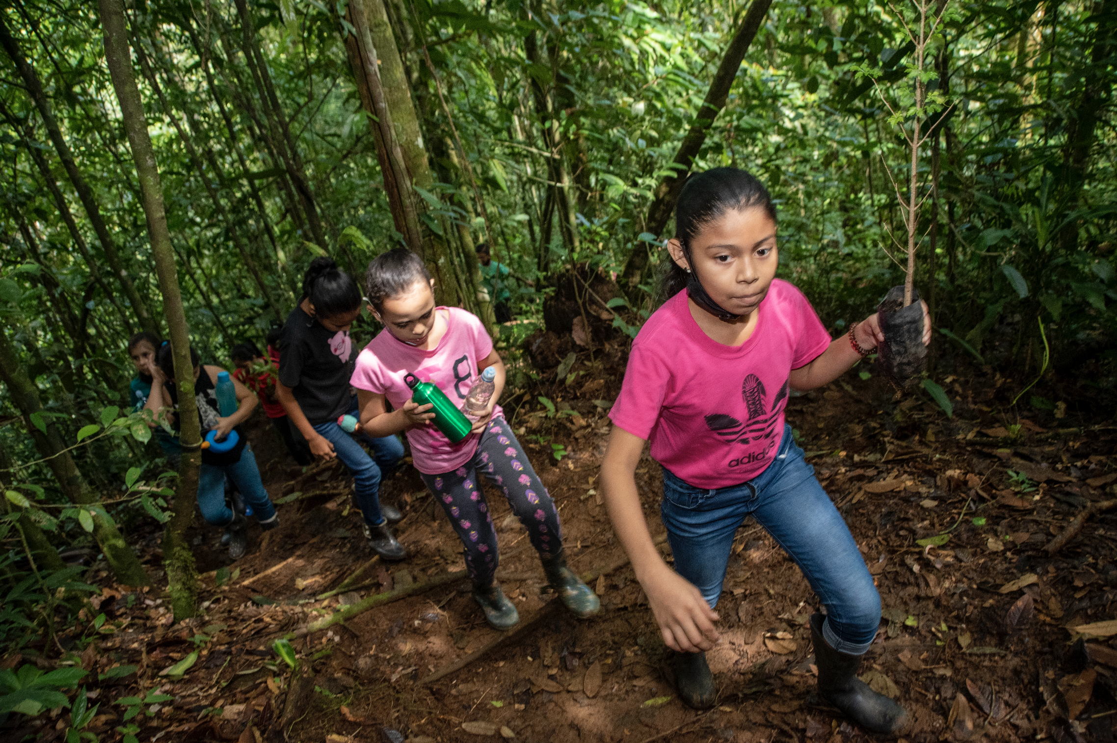 Skärmavbild 2023-03-30 kl. 14.30.37.png