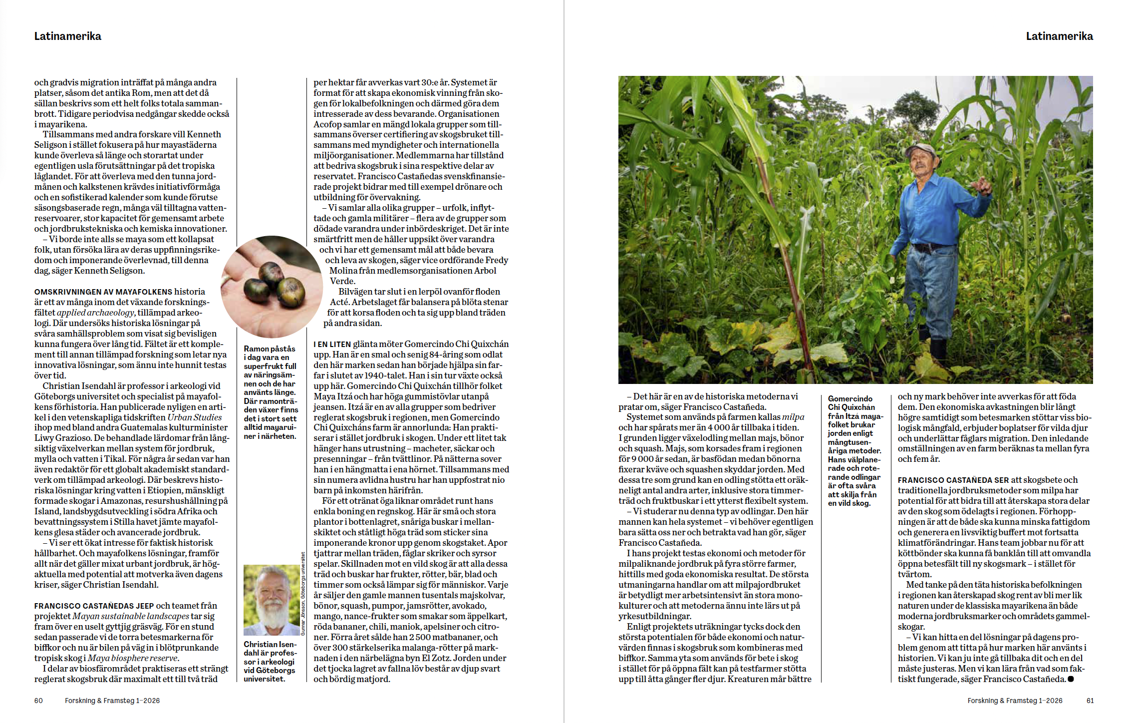 This is what we can learn from the Maya peoples' about sustainable agriculture. Forskning & Framsteg 1/2026, January 2026. Click image for link