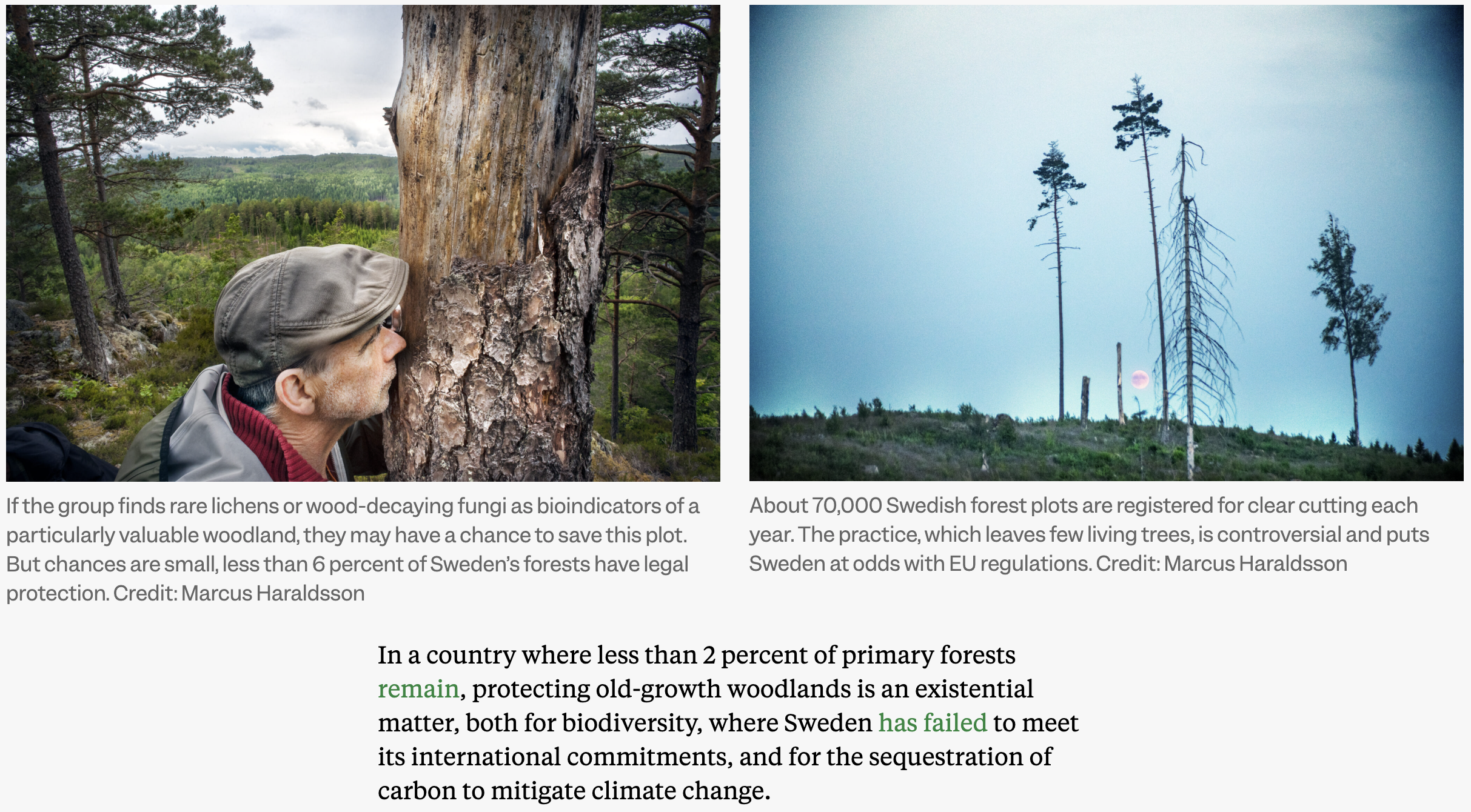 In-depth coverage of Sweden's climate retreat and EU consequences. Inside Climate News, August 2025. Click image for full story